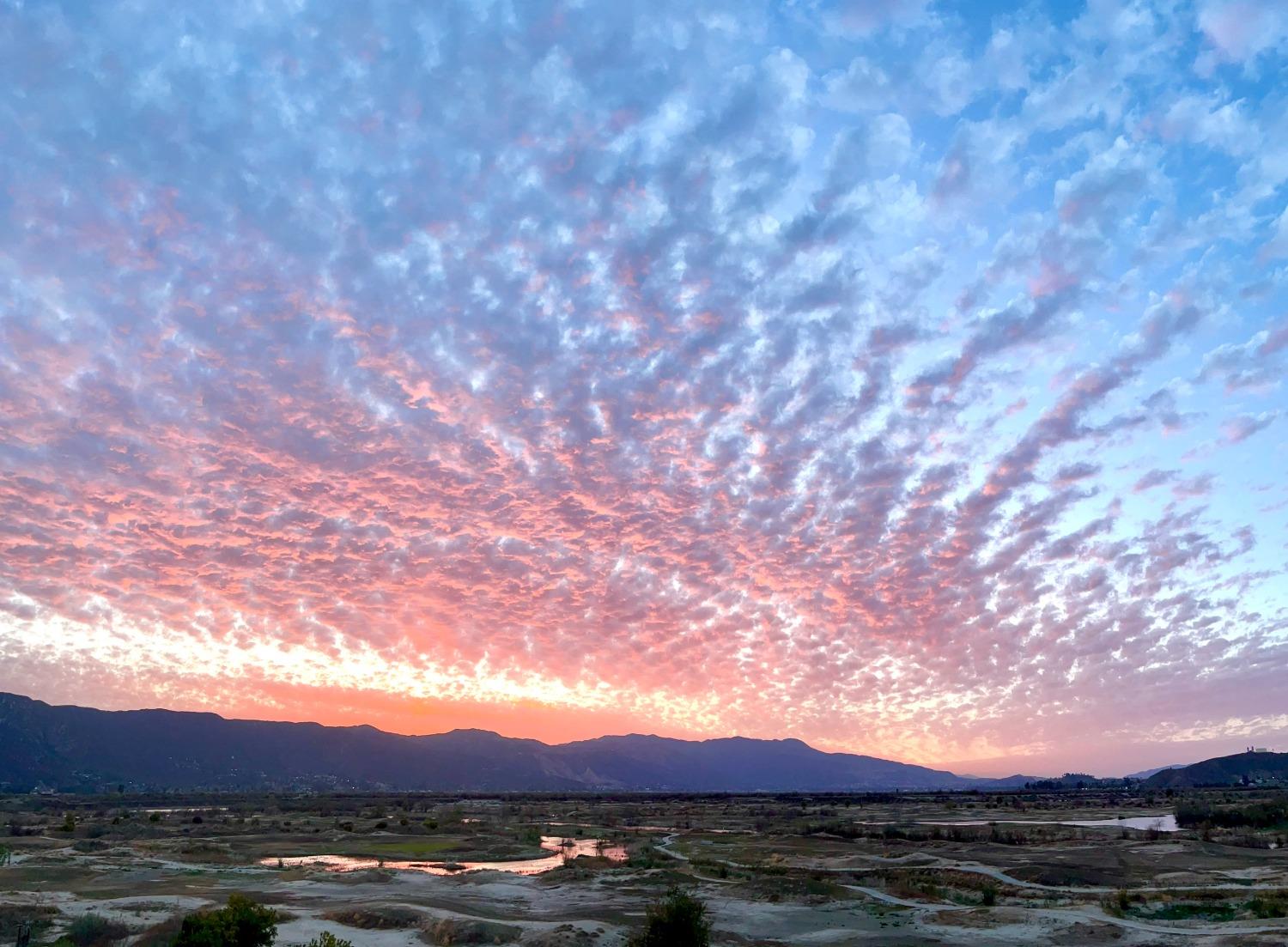 29259 royal aberdeen