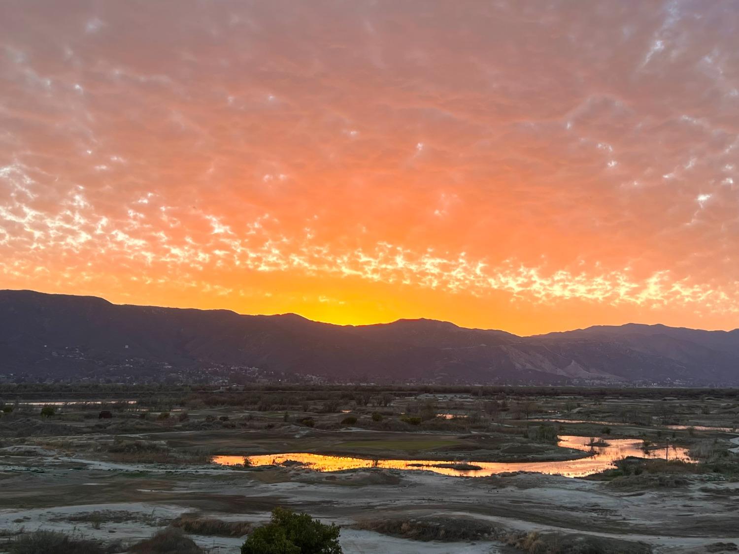 29259 royal aberdeen