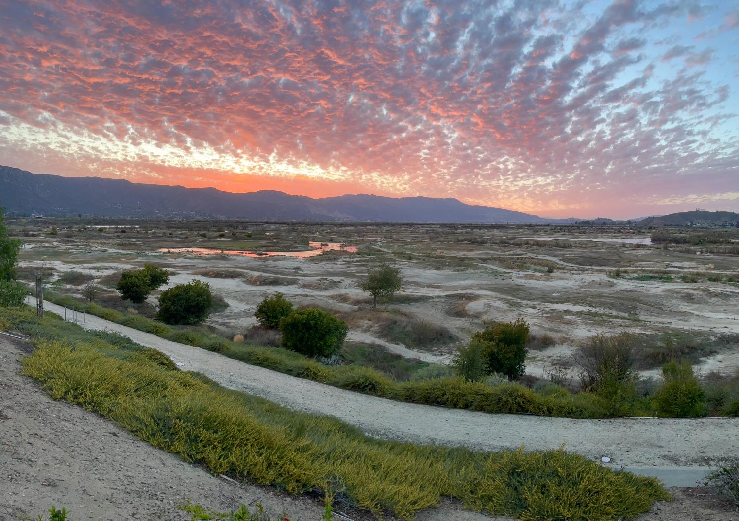 29259 royal aberdeen