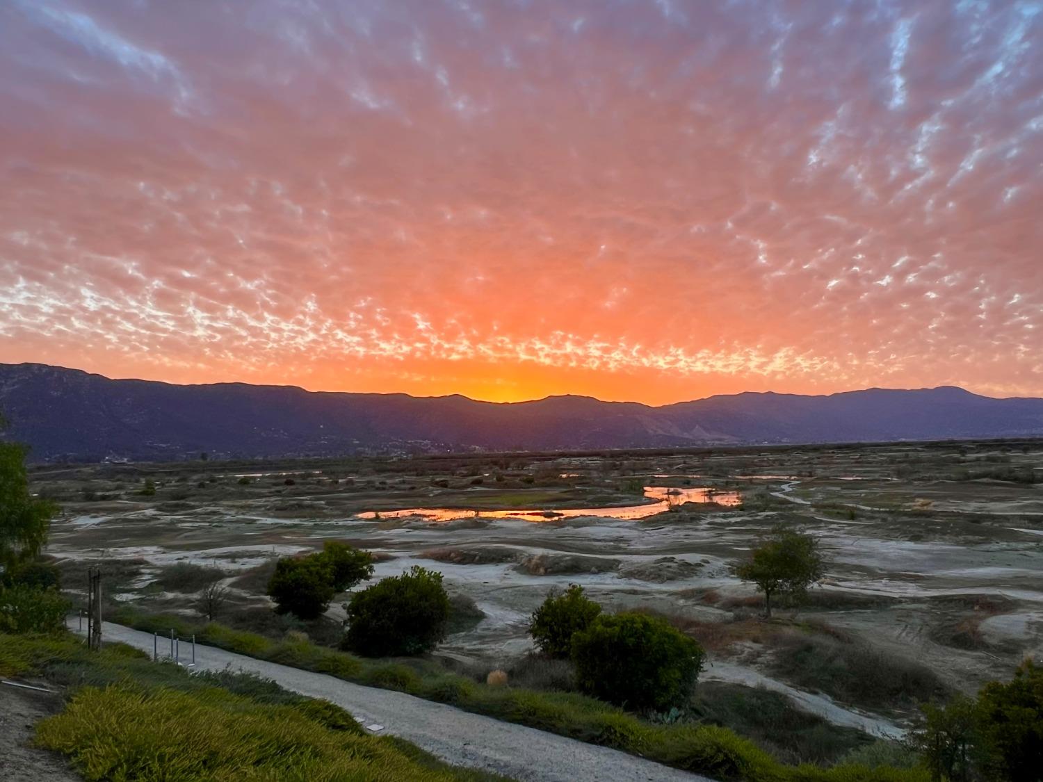 29259 royal aberdeen