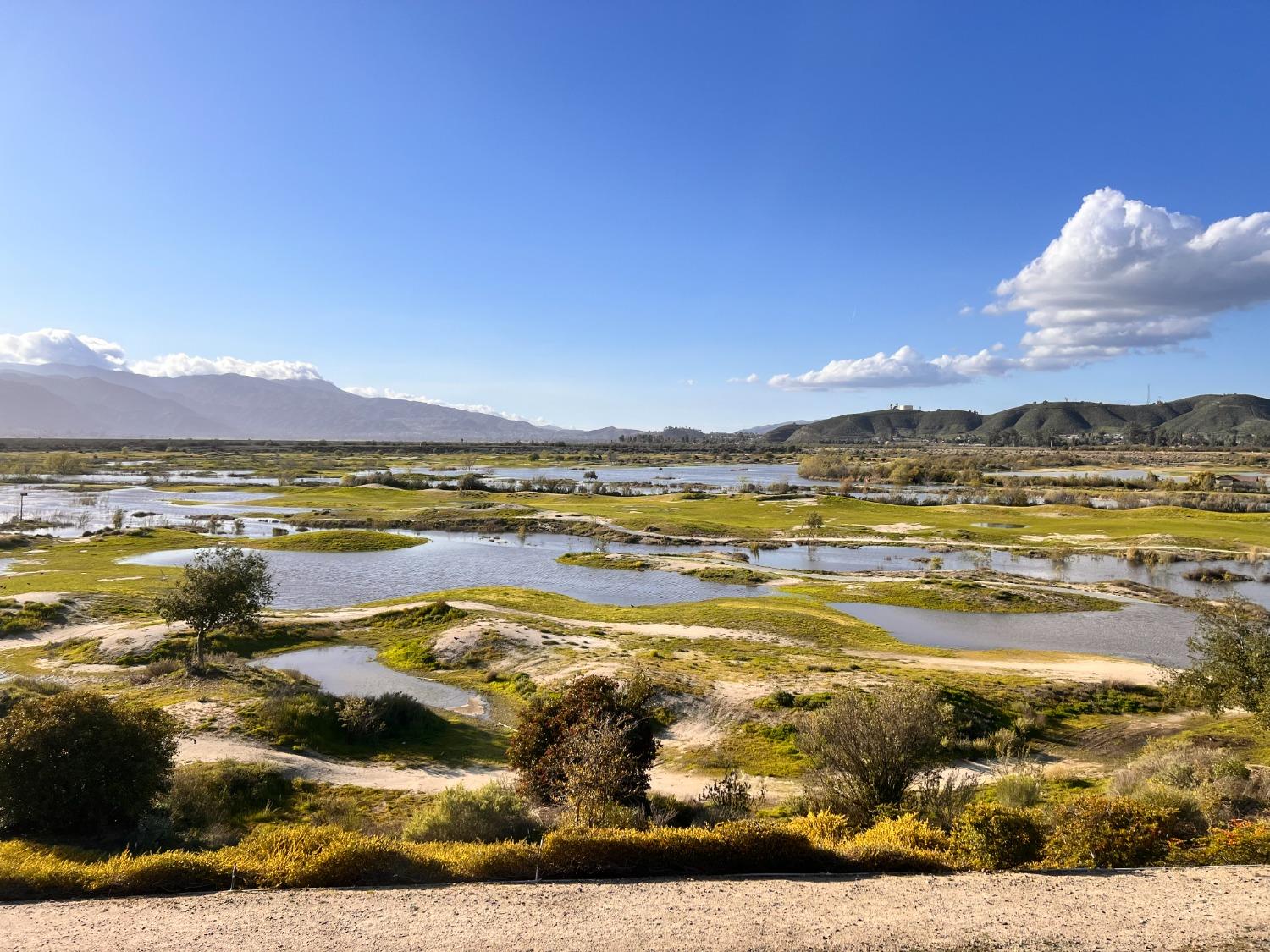 29259 royal aberdeen