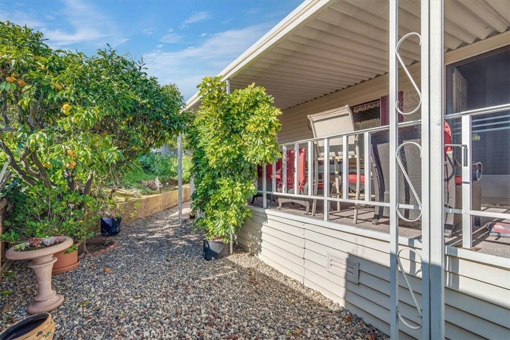 30 Winchester Cyn 48