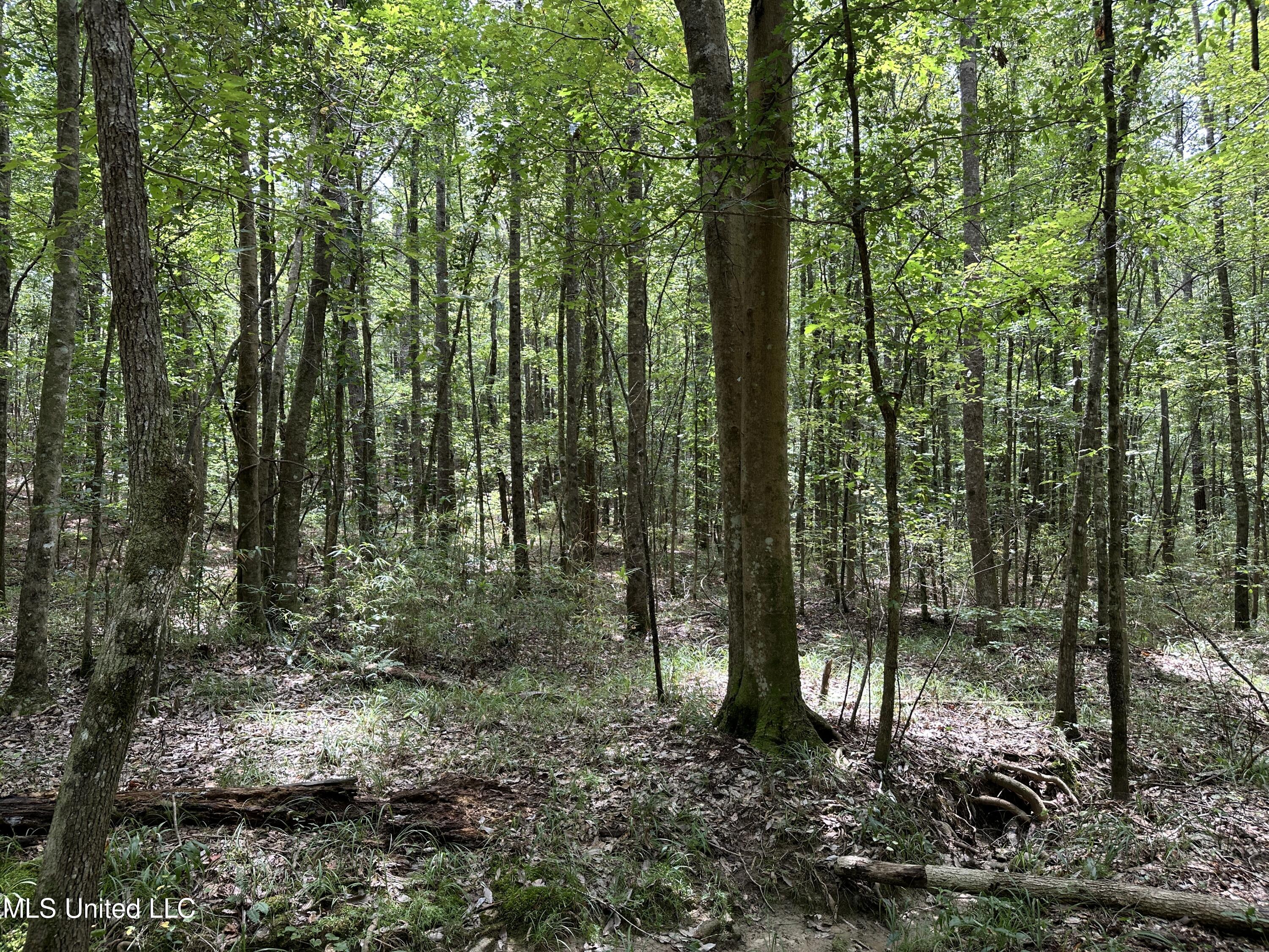 Indian Mound Ridge