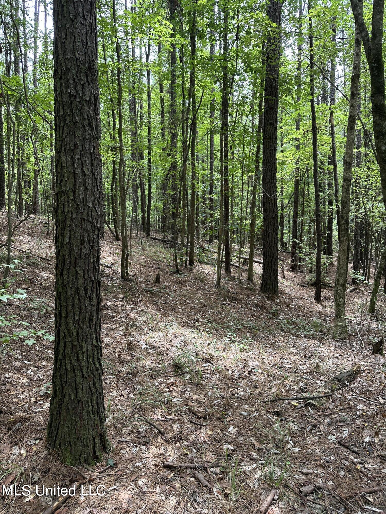 Indian Mound Ridge