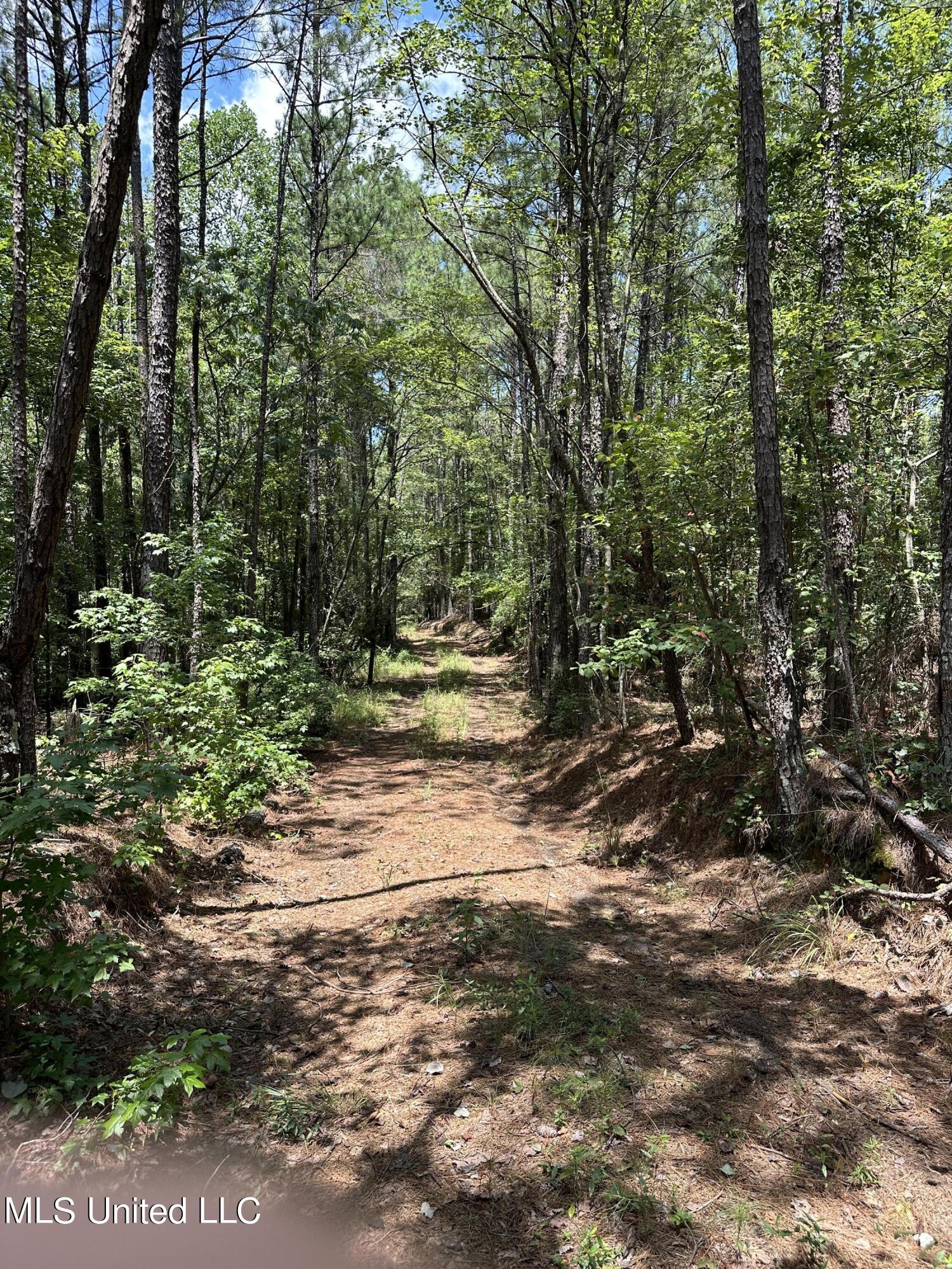 Indian Mound Ridge