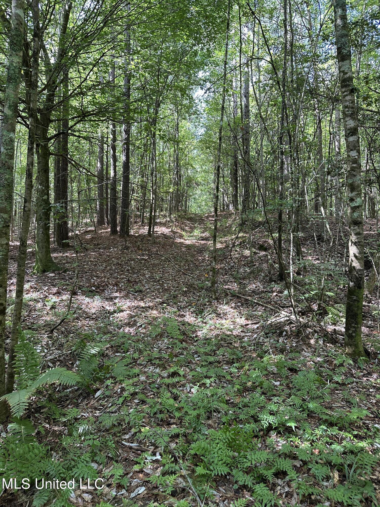 Indian Mound Ridge