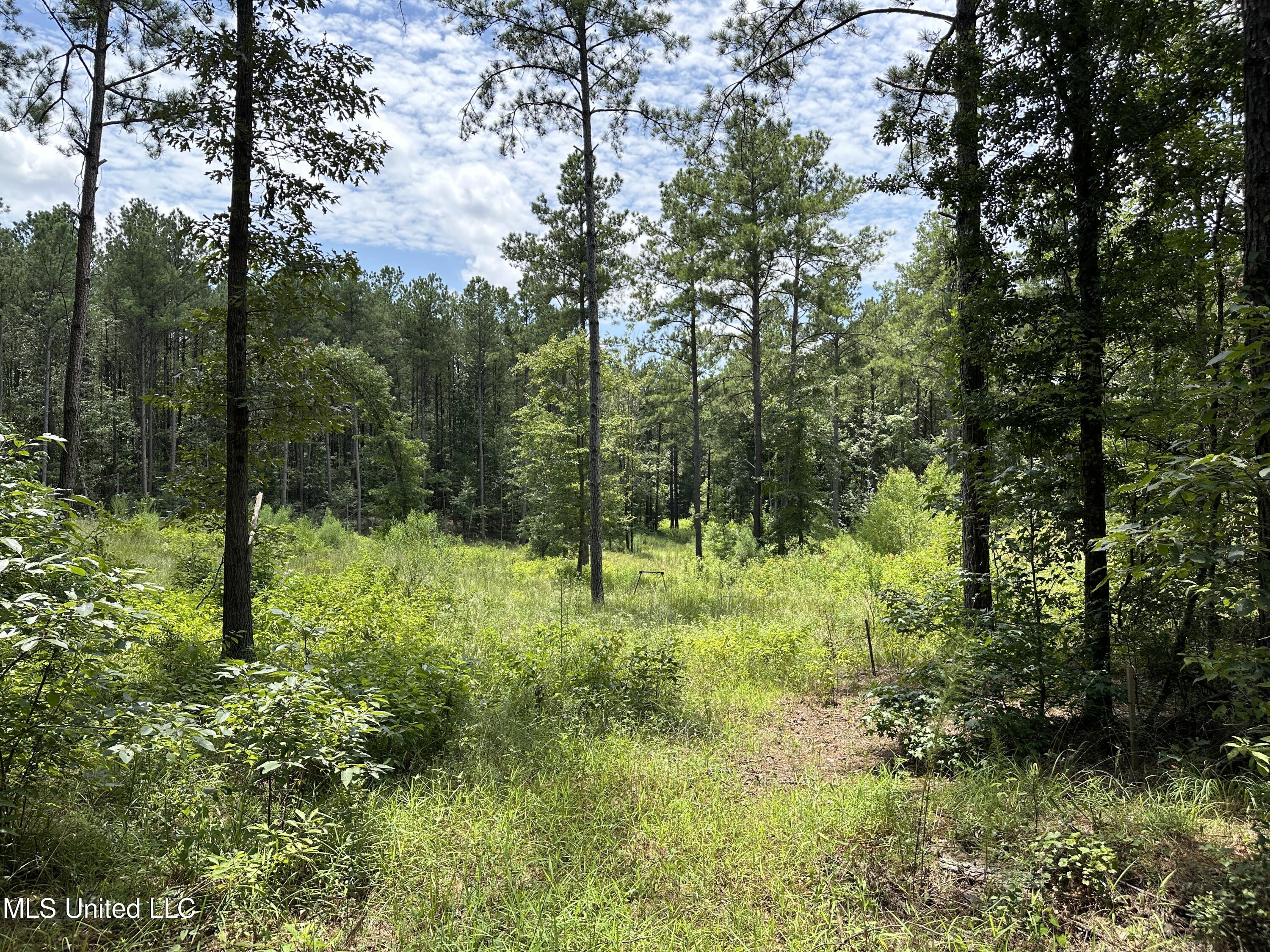 Indian Mound Ridge