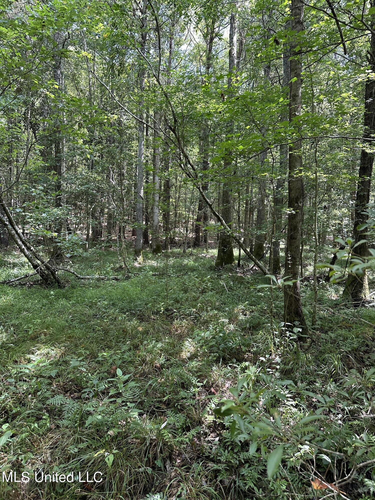 Indian Mound Ridge