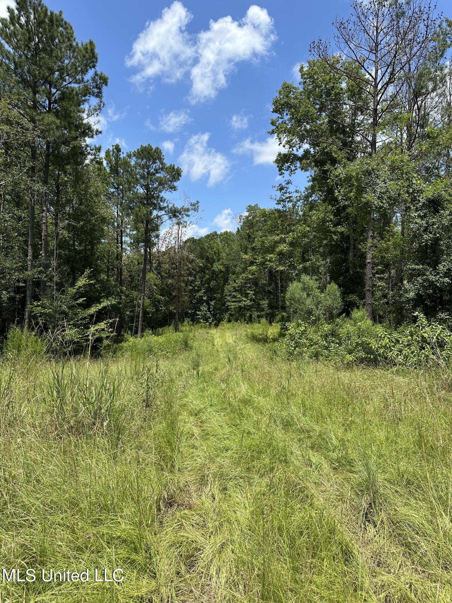 Indian Mound Ridge