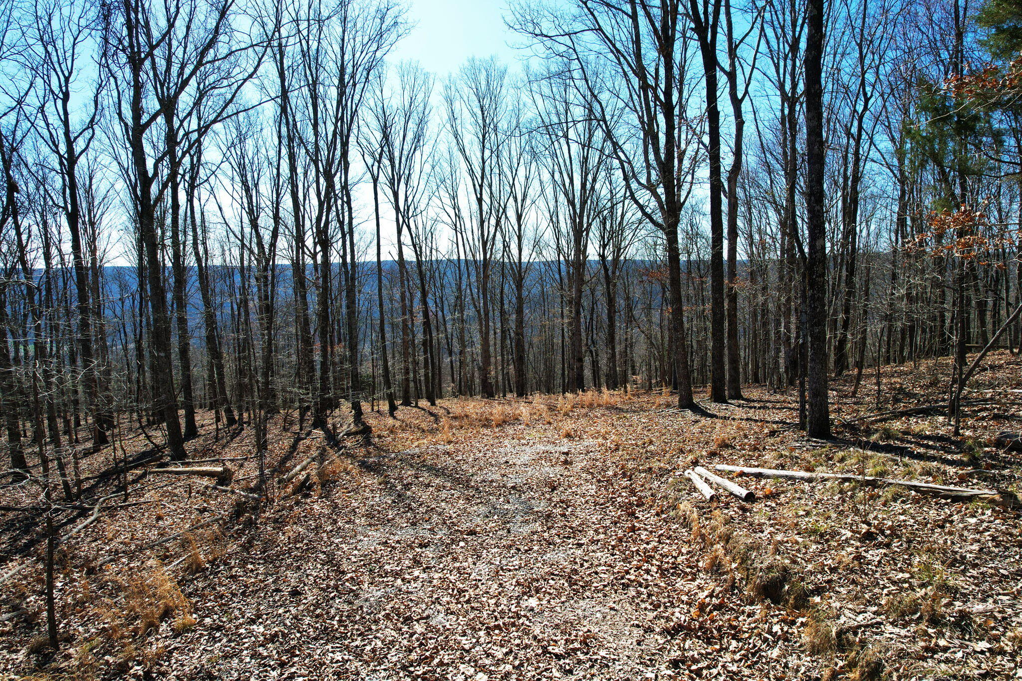 0 Nancy Wynn Road, 6