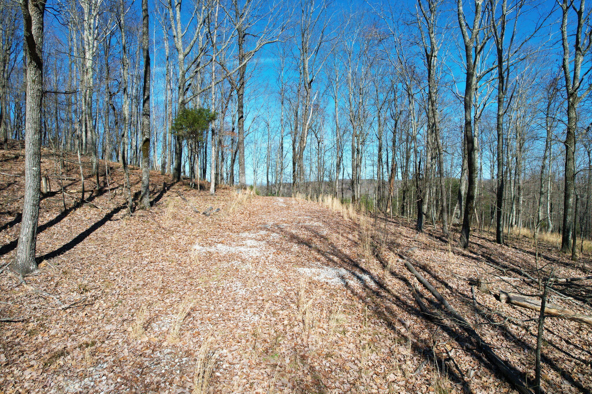 0 Nancy Wynn Road, 6