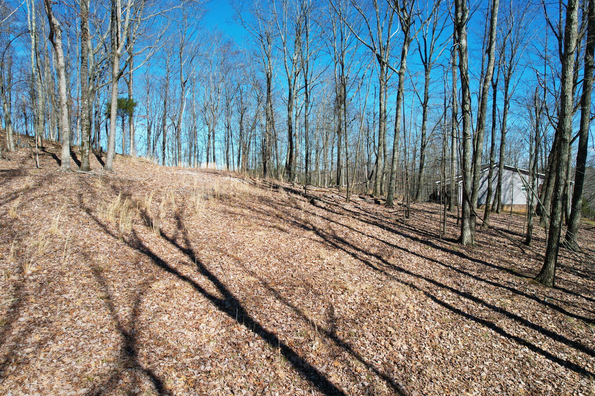 0 Nancy Wynn Road, 6