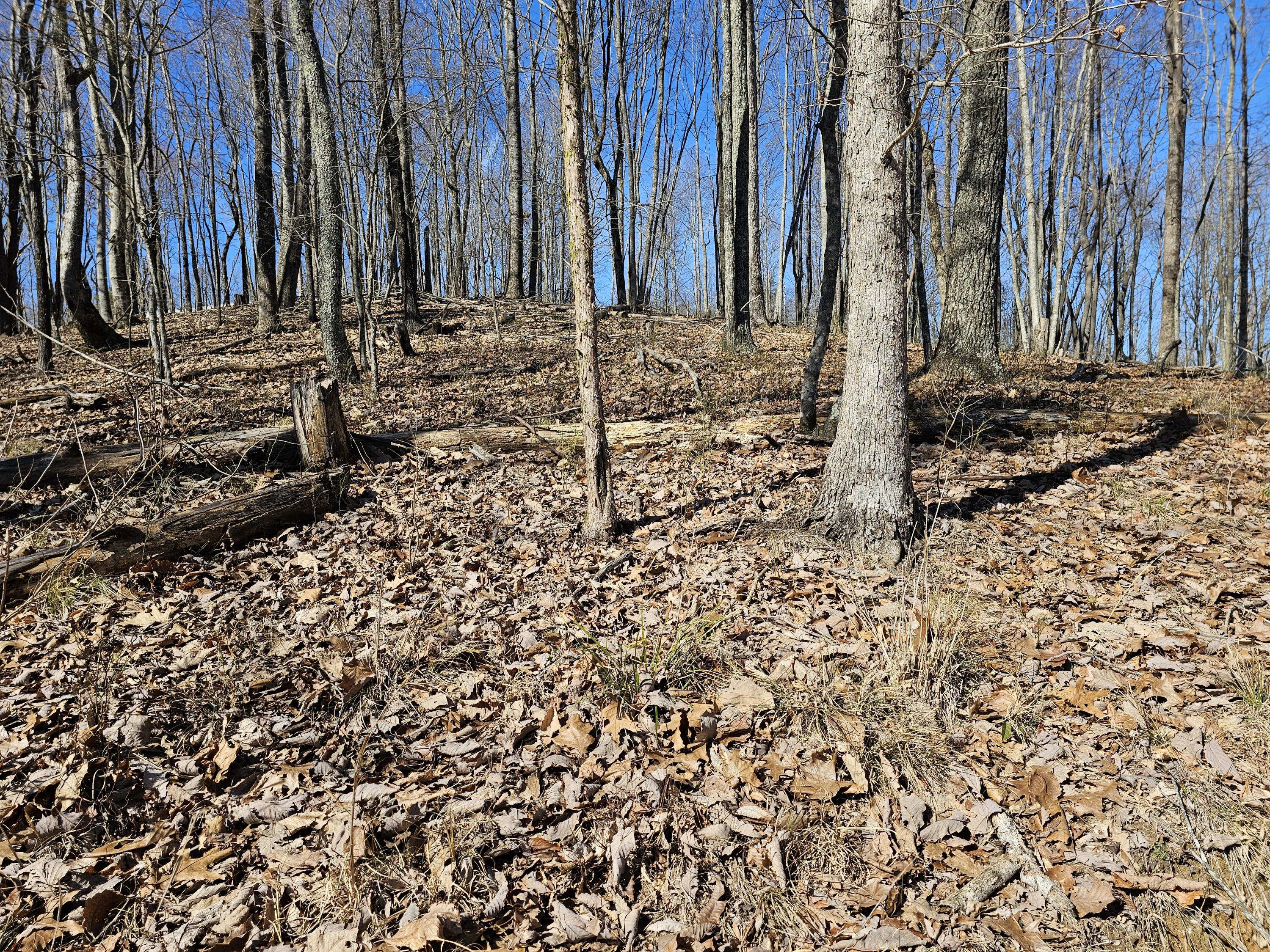 0 Nancy Wynn Road, 6