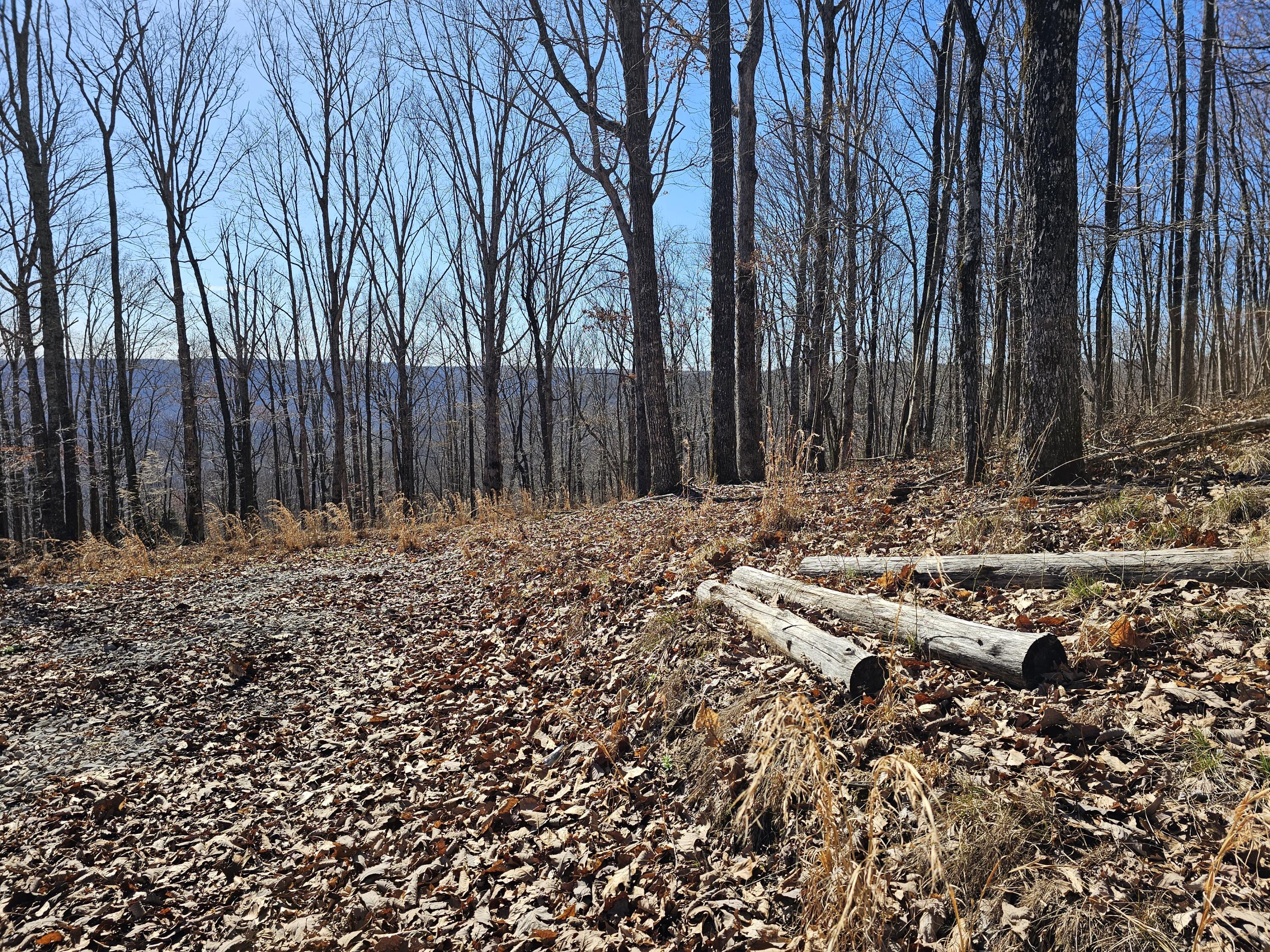 0 Nancy Wynn Road, 6