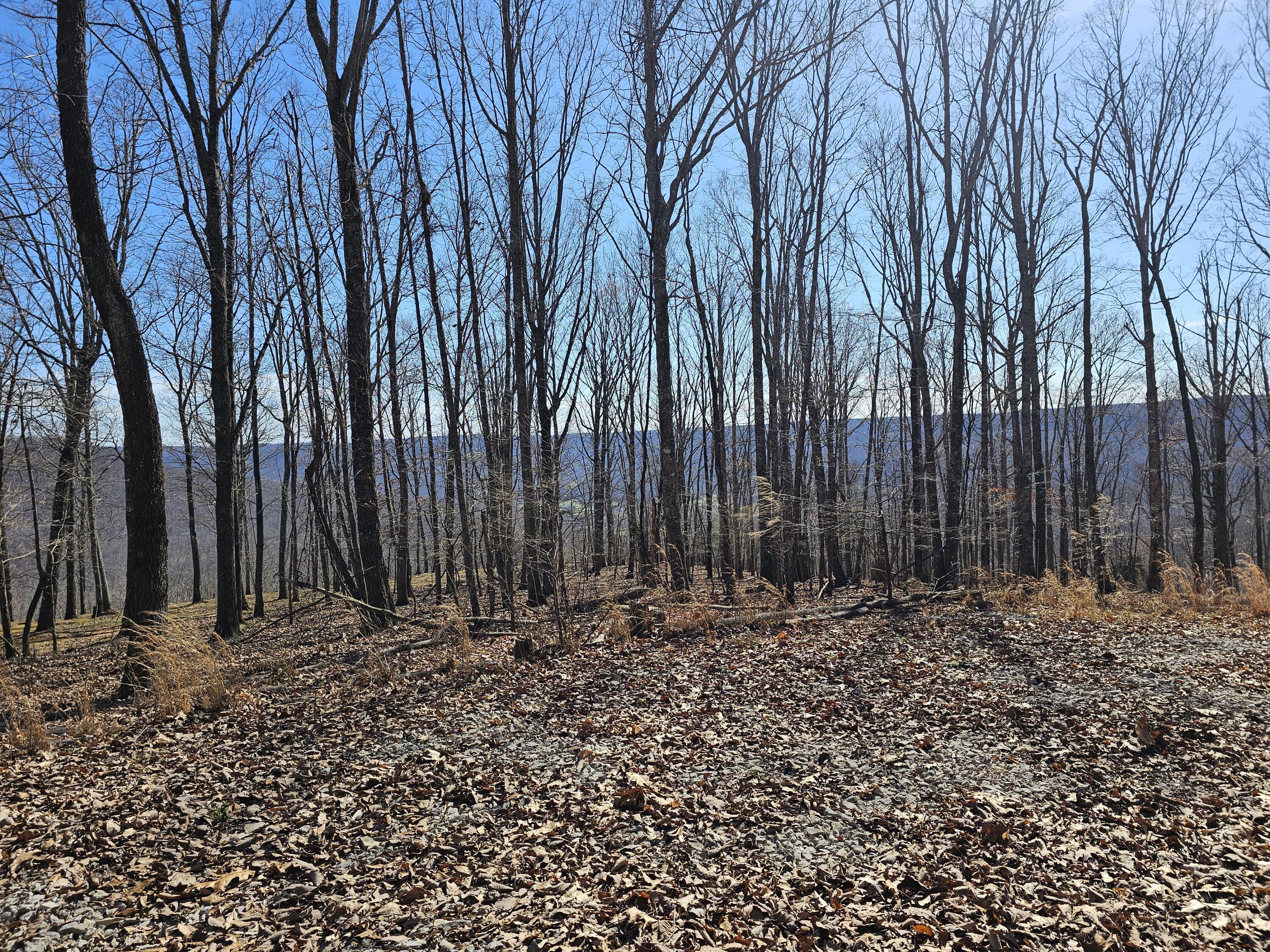 0 Nancy Wynn Road, 6