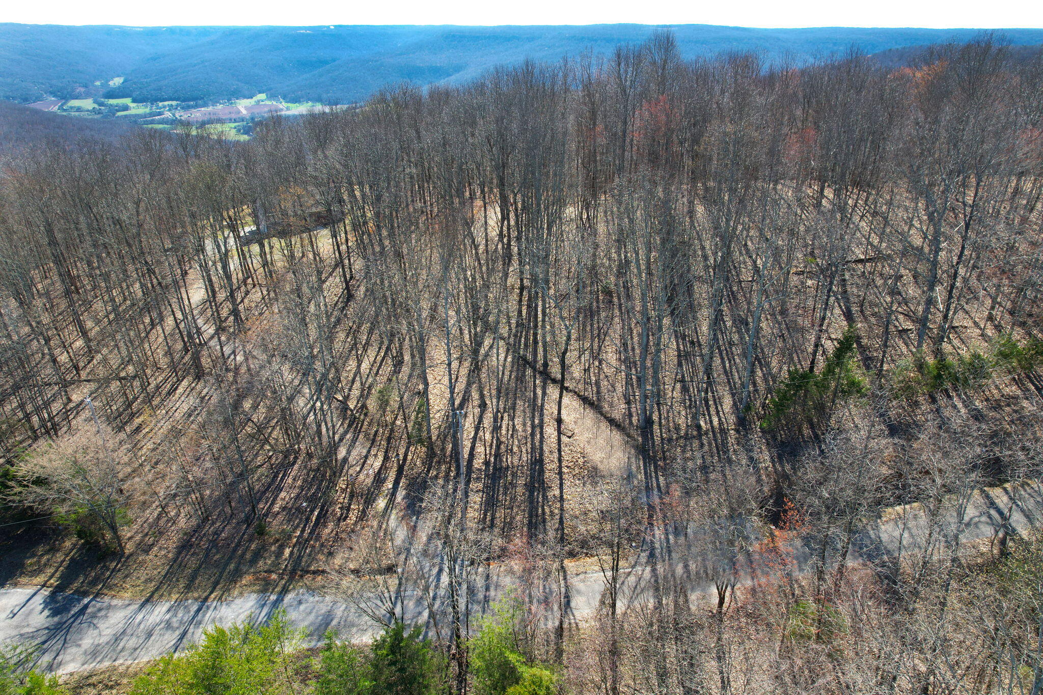 0 Nancy Wynn Road, 6