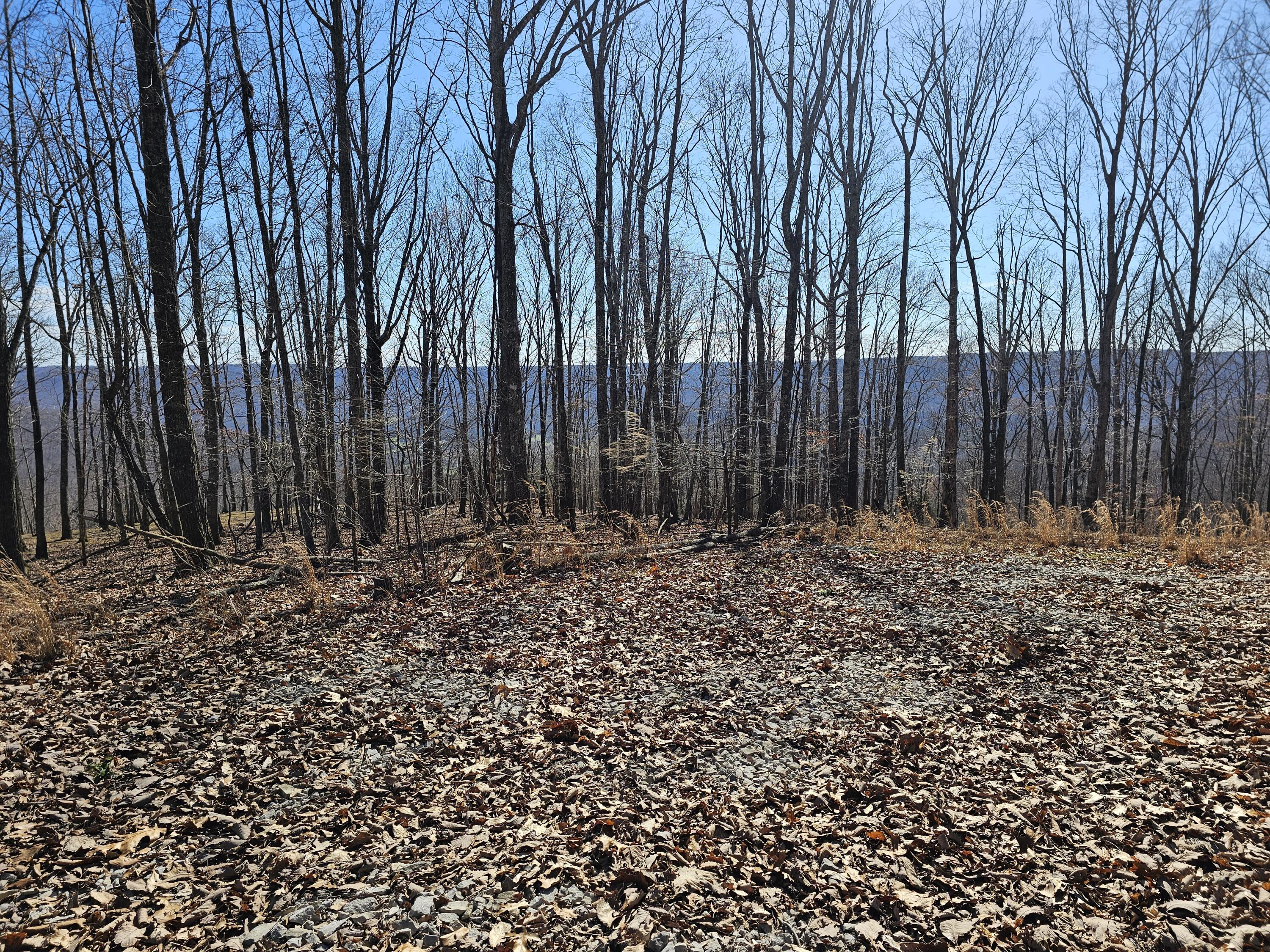 0 Nancy Wynn Road, 6