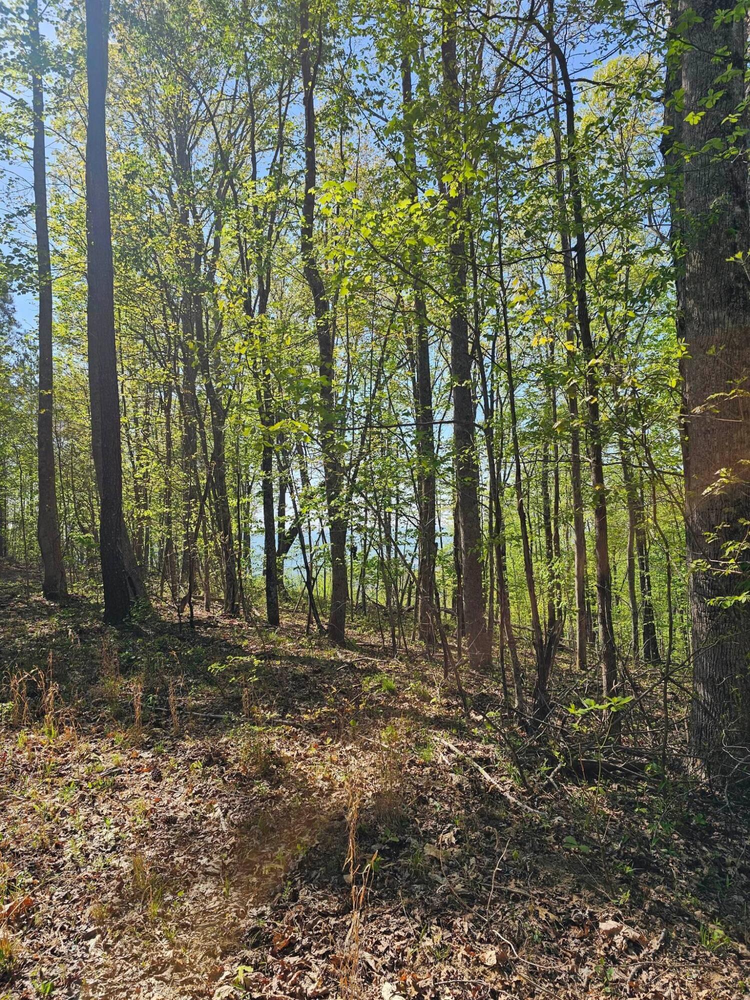 0 Waterwheel Way, 337