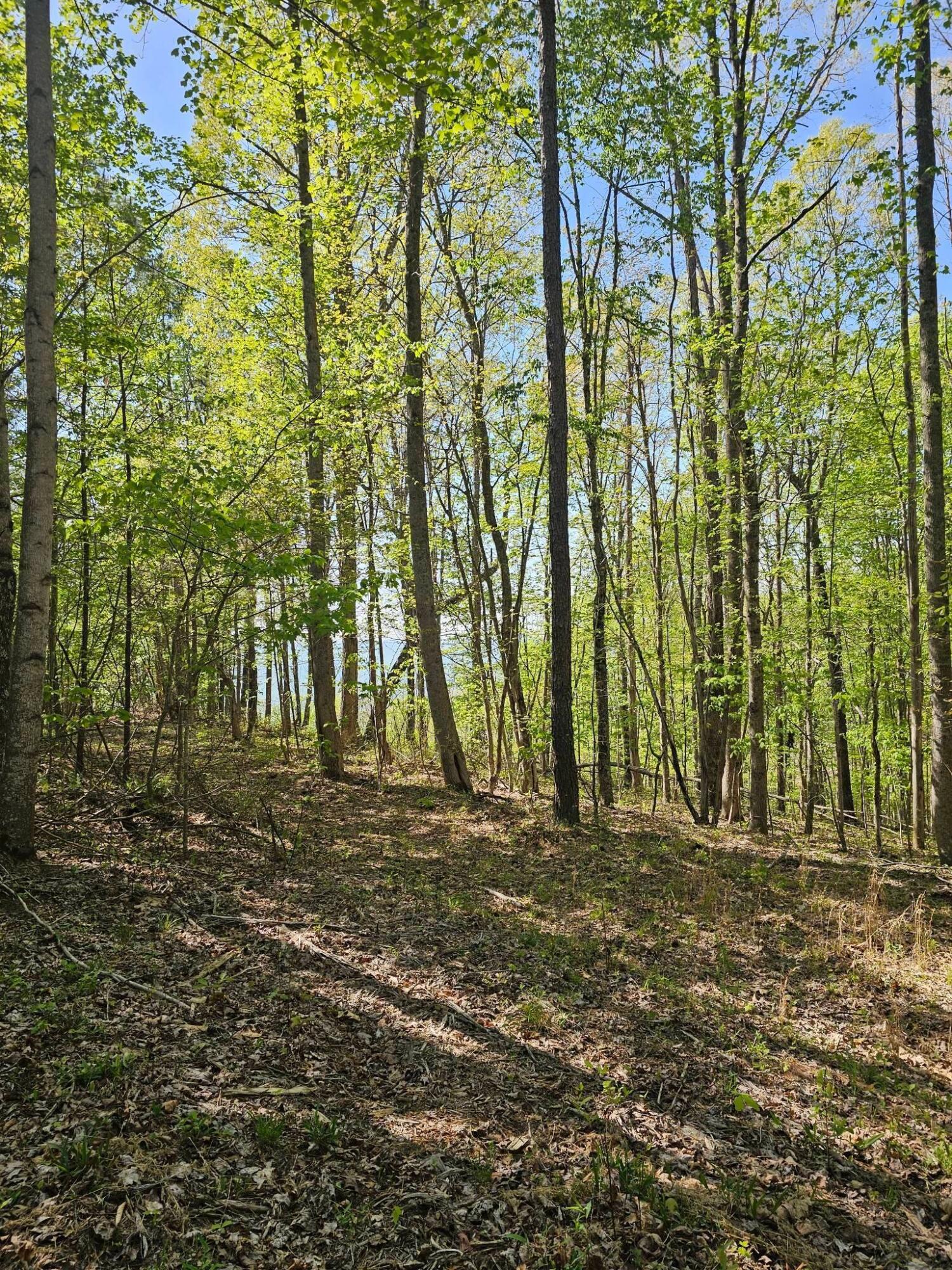 0 Waterwheel Way, 337