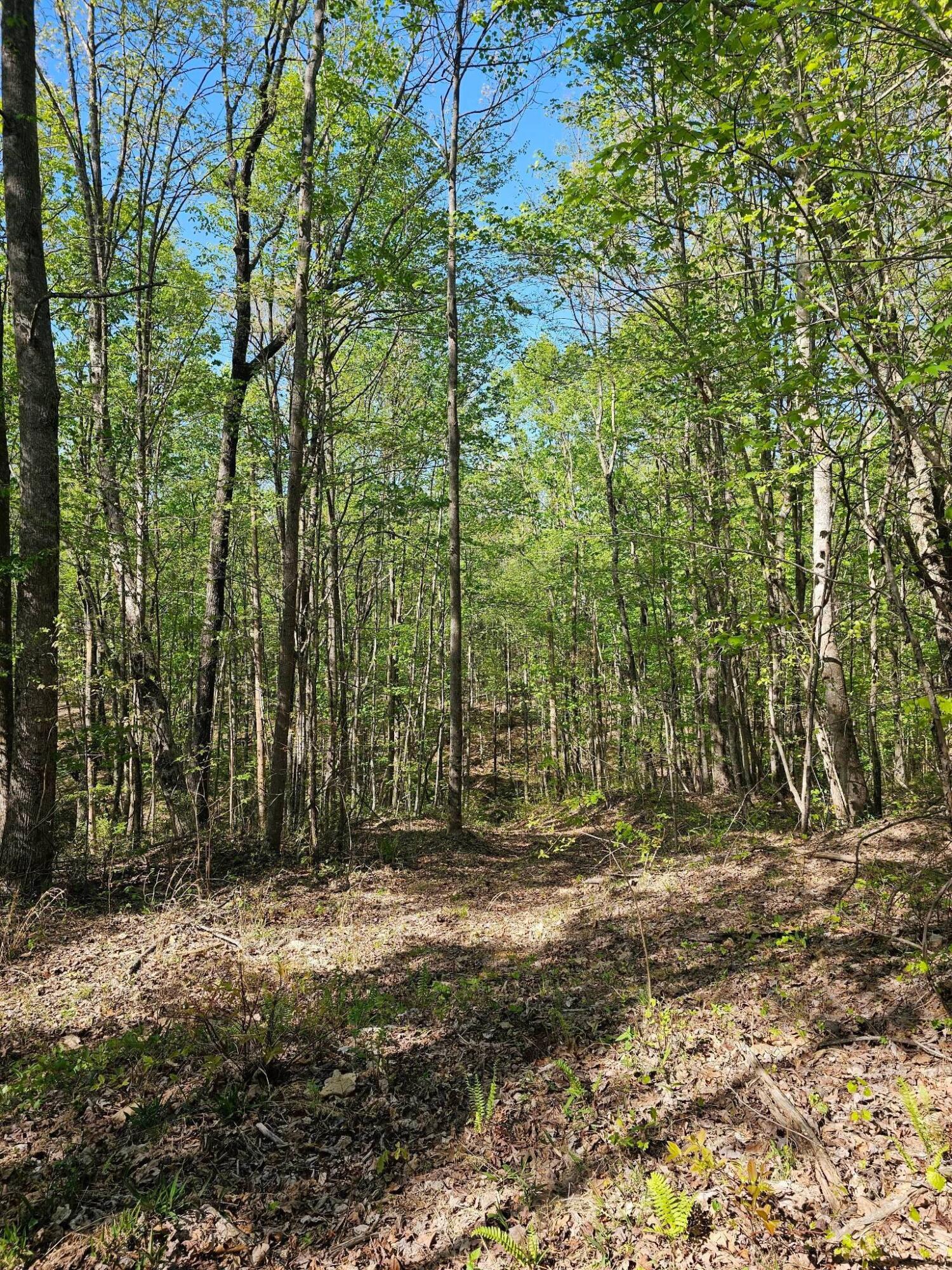 0 Waterwheel Way, 337