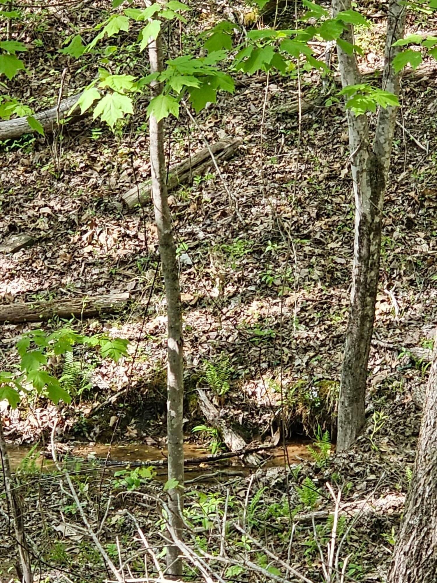 0 Waterwheel Way, 337