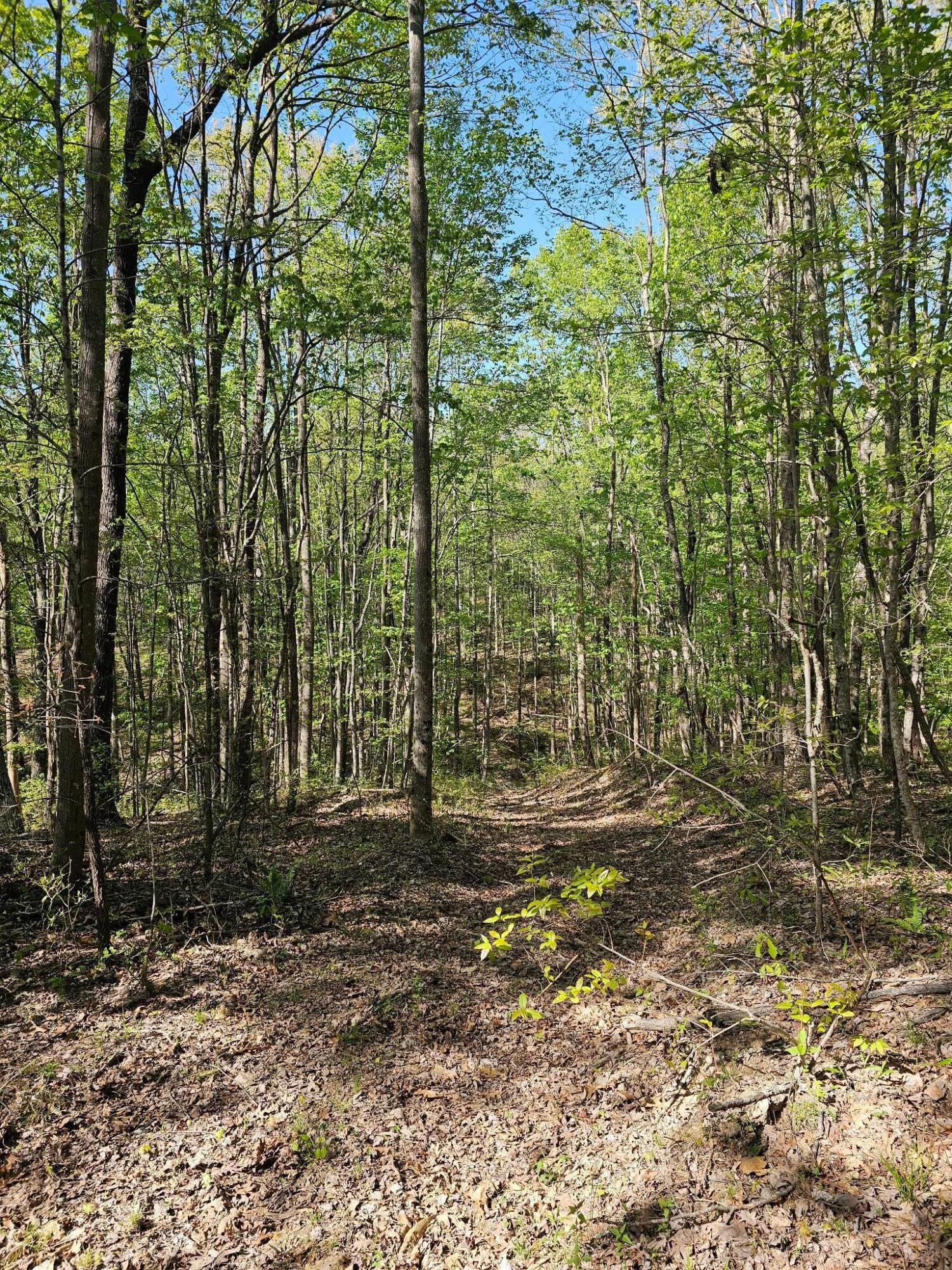 0 Waterwheel Way, 337