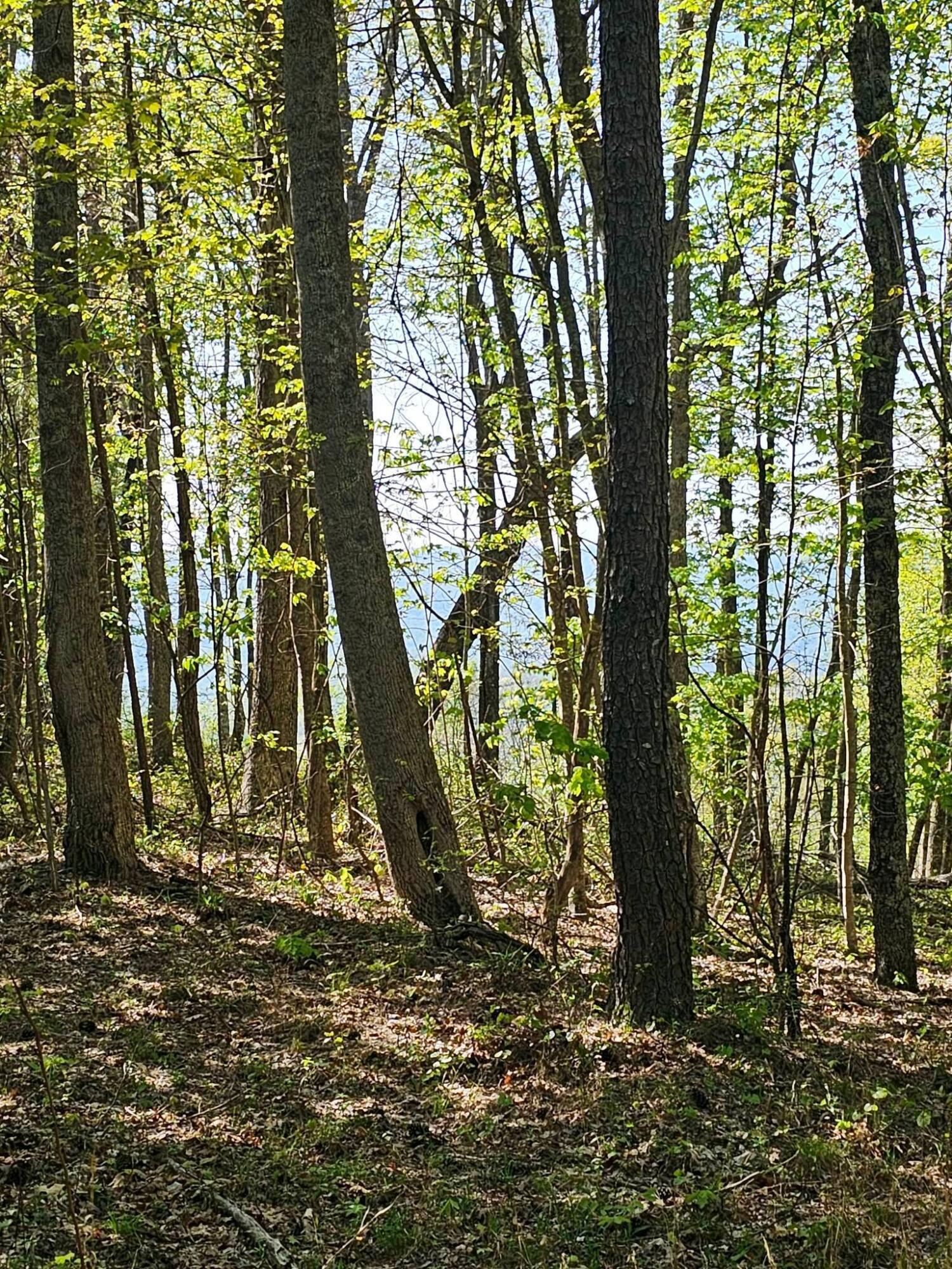 0 Waterwheel Way, 337