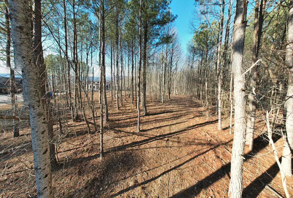 0 Waterwheel Way, 337