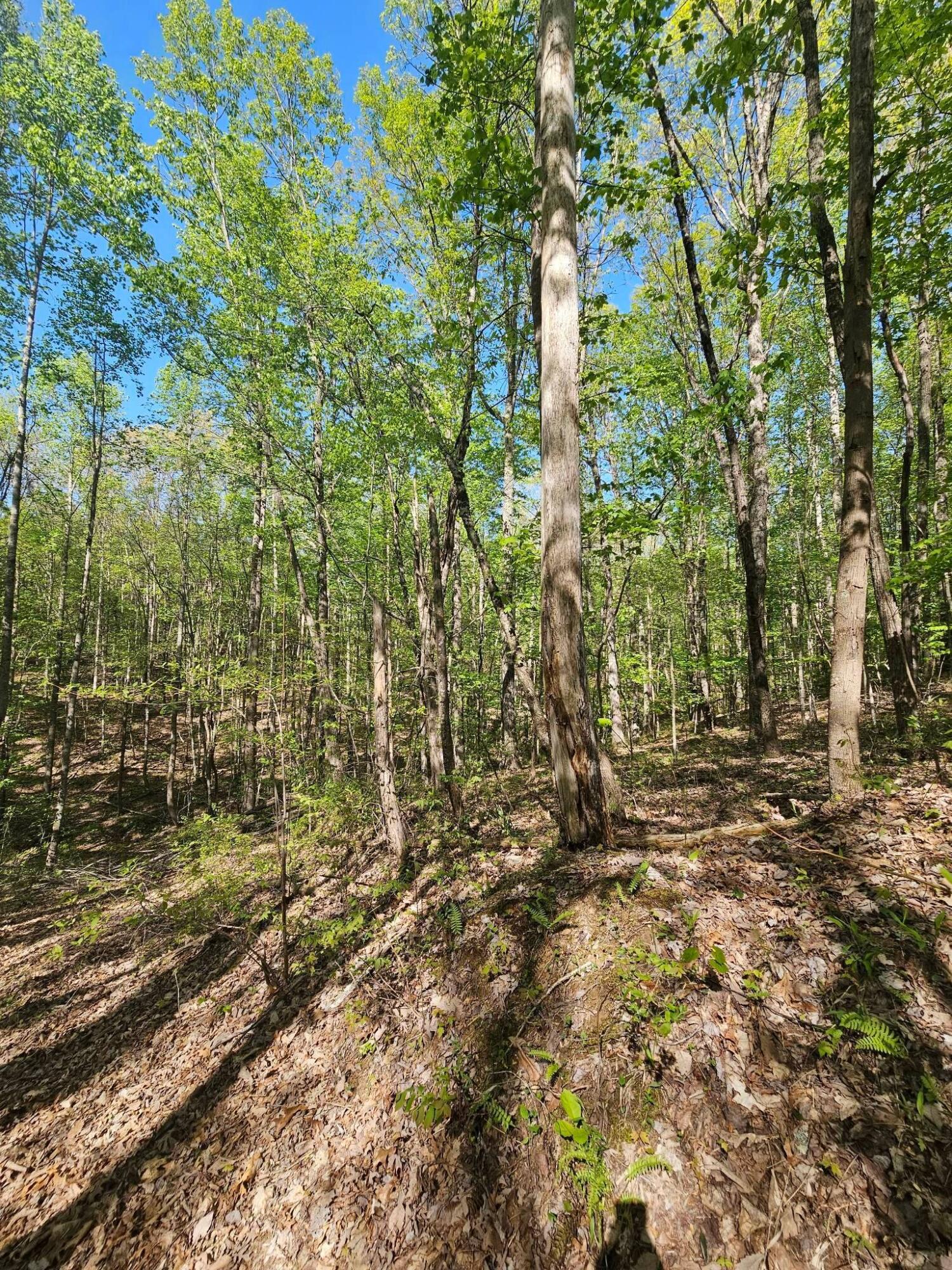 0 Waterwheel Way, 337