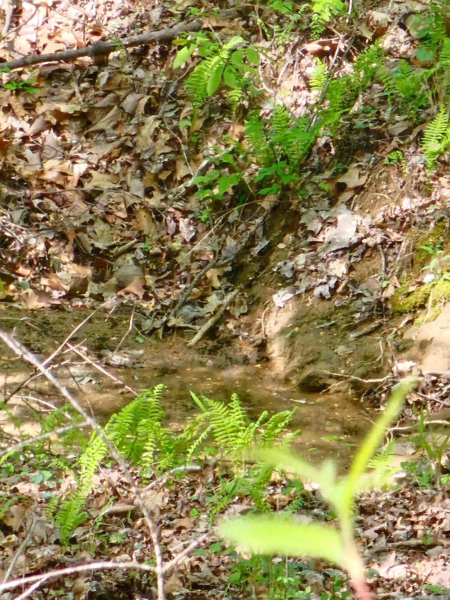 0 Waterwheel Way, 337