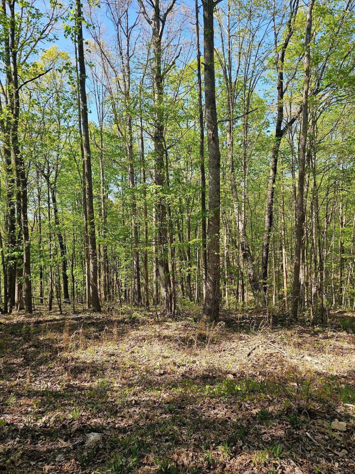 0 Waterwheel Way, 337