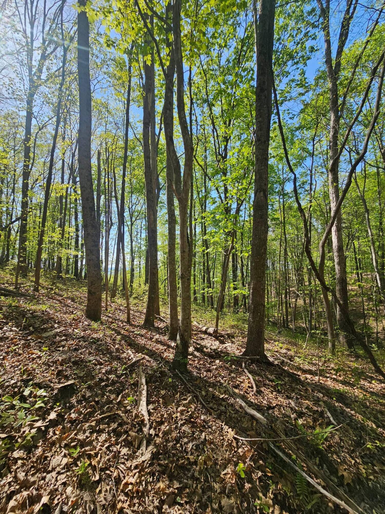 0 Waterwheel Way, 337