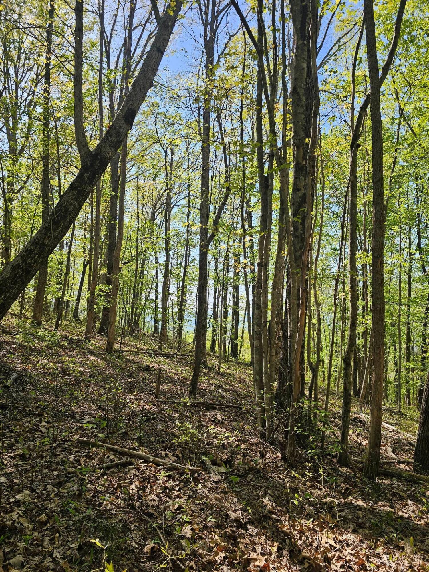 0 Waterwheel Way, 337