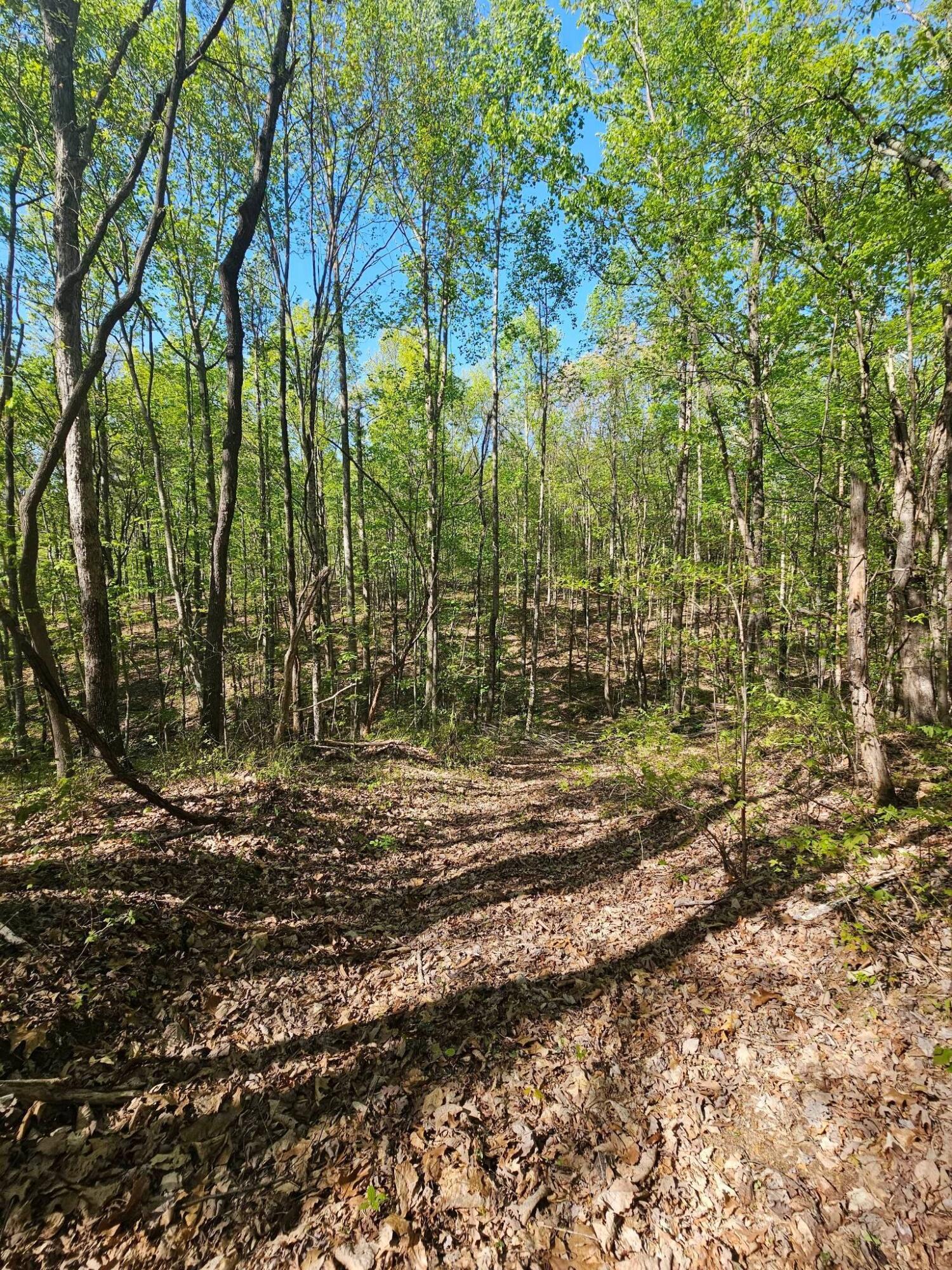 0 Waterwheel Way, 337