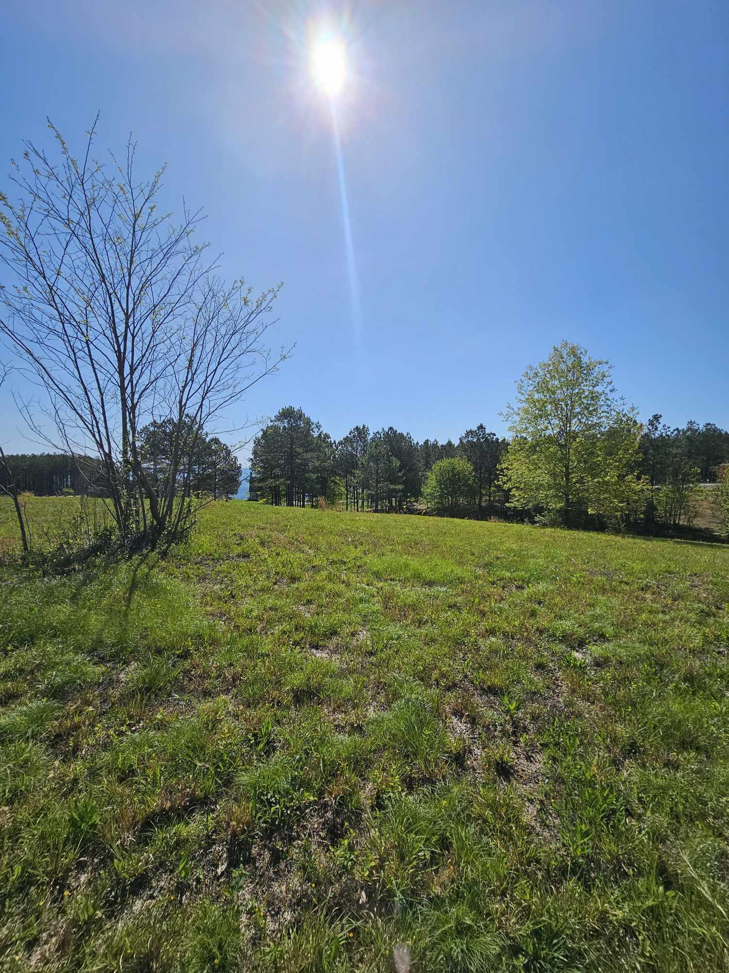 201 Pioneer Road, 216