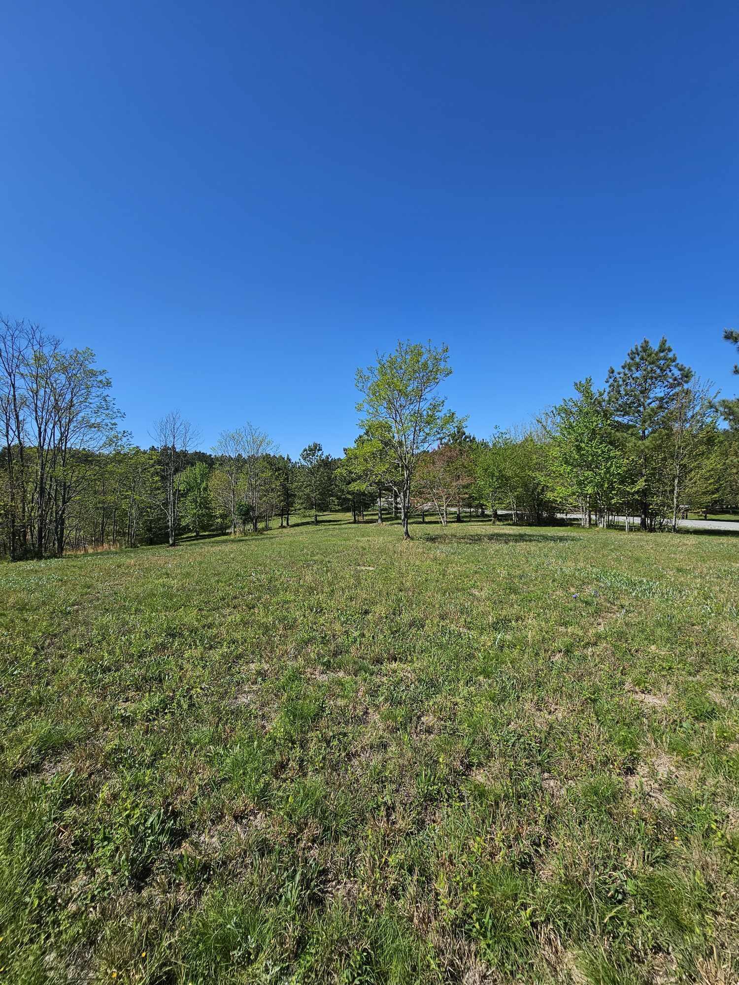 201 Pioneer Road, 216