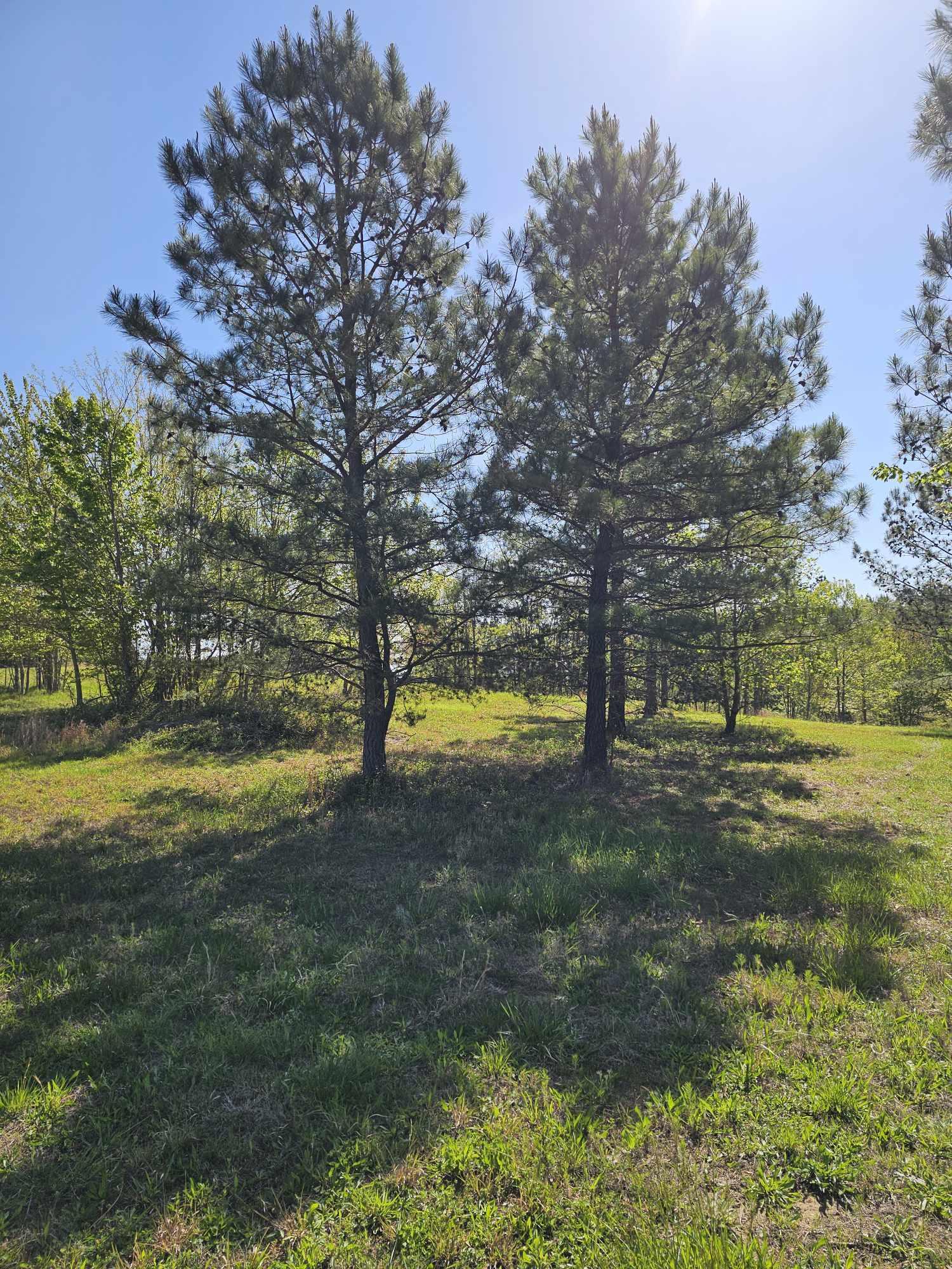 201 Pioneer Road, 216