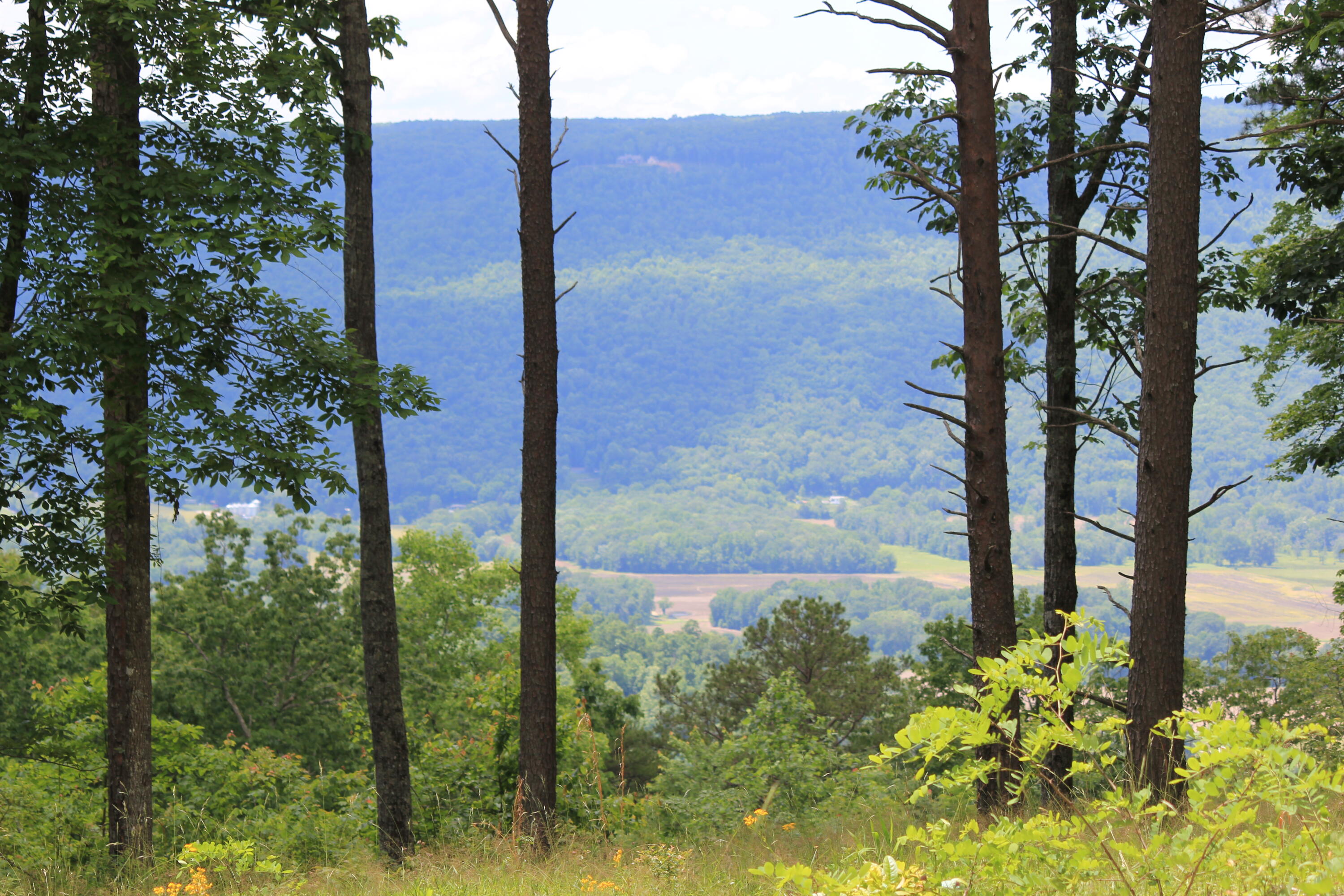 1395 Cherokee Path, Jf260