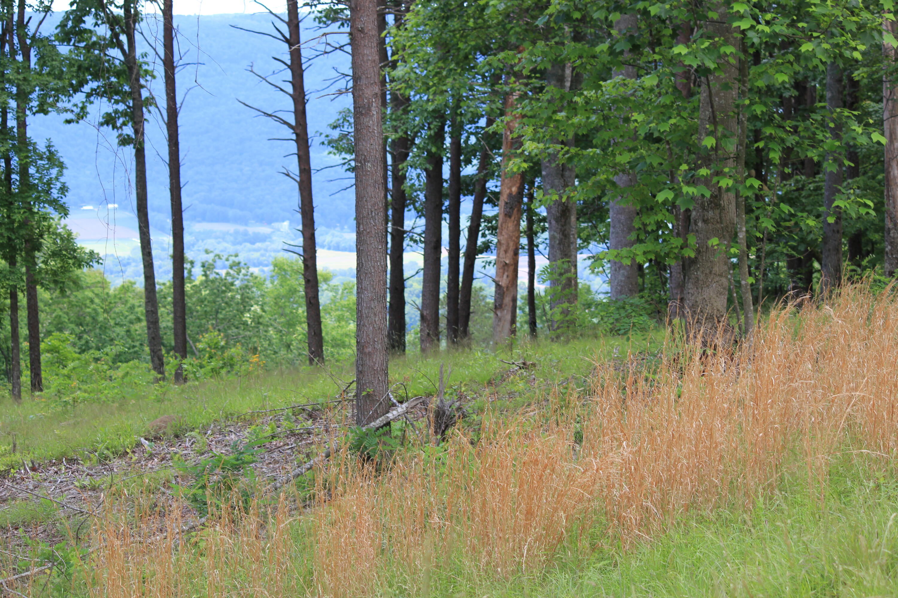 1395 Cherokee Path, Jf260