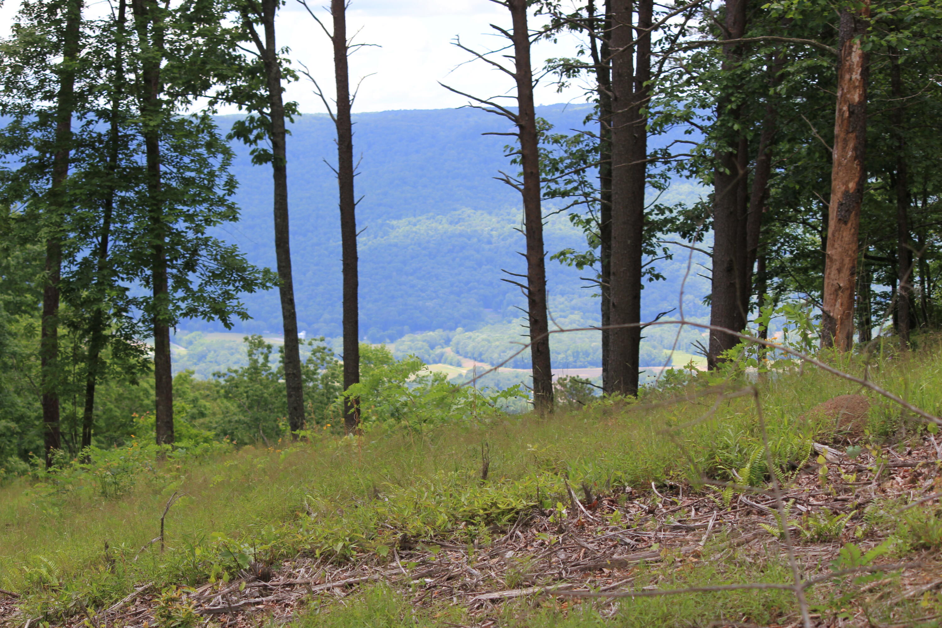 1395 Cherokee Path, Jf260