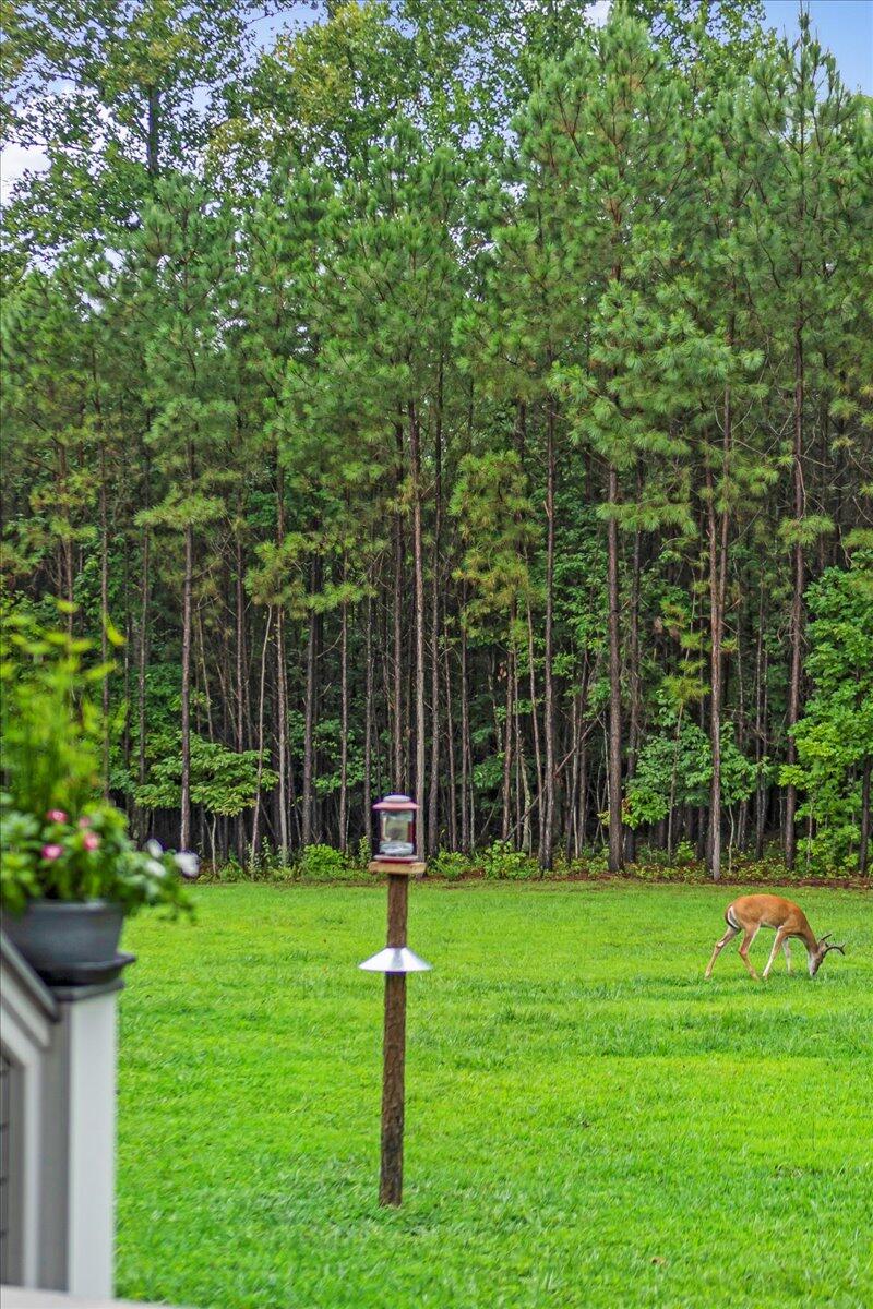 1665 River Bluffs Drive