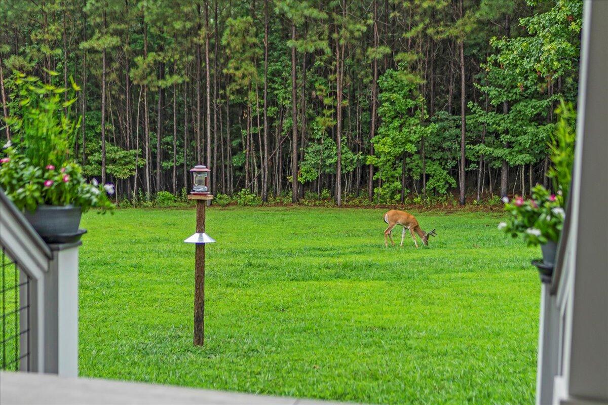 1665 River Bluffs Drive