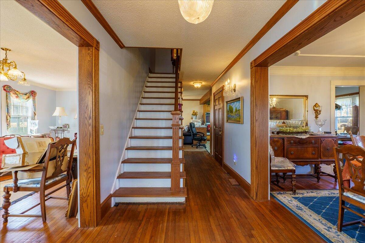 1016 Holly Avenue