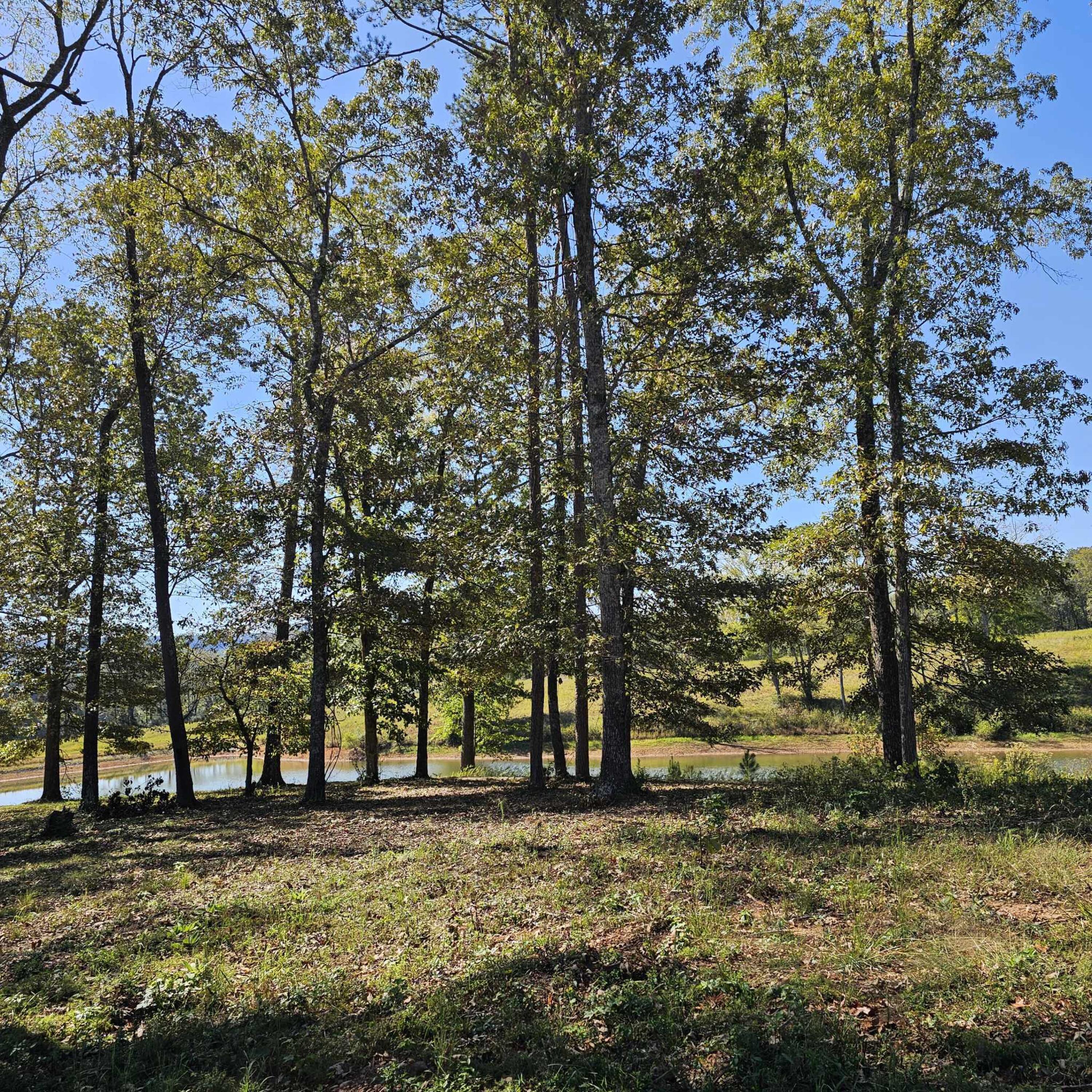 0 Clubhouse Drive, 5r