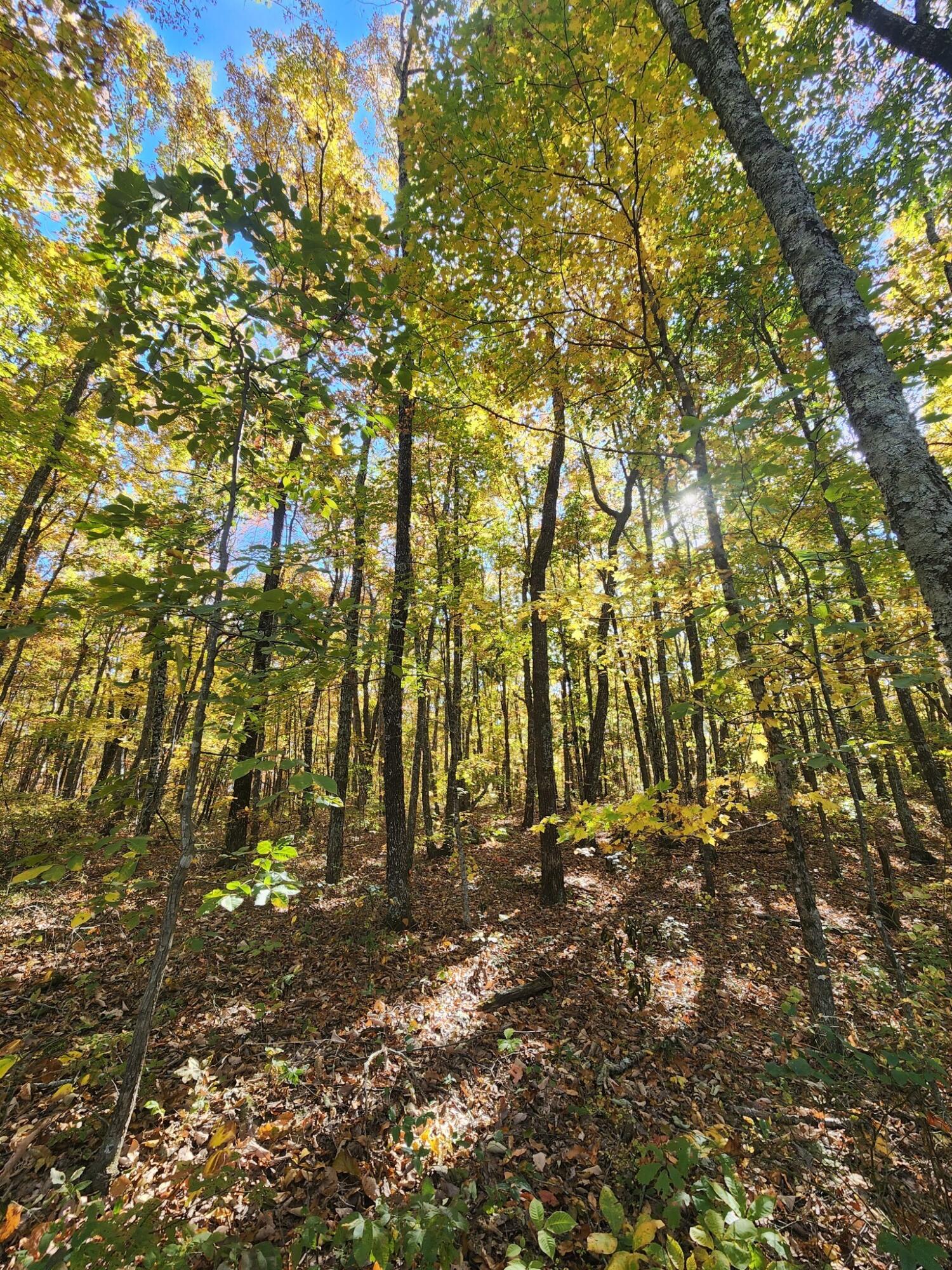 12 Higgenbottom Turnpike, 12