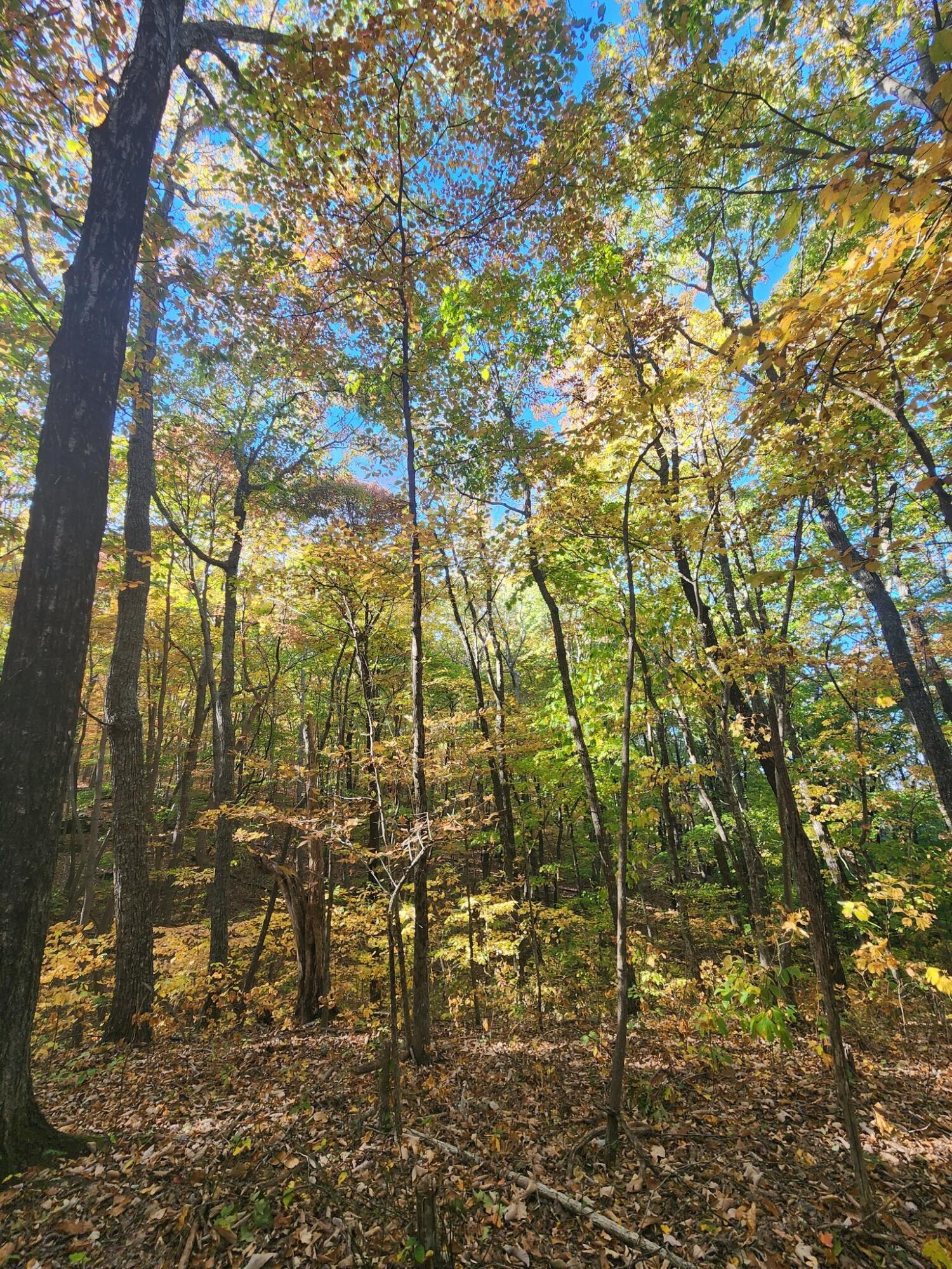 12 Higgenbottom Turnpike, 12