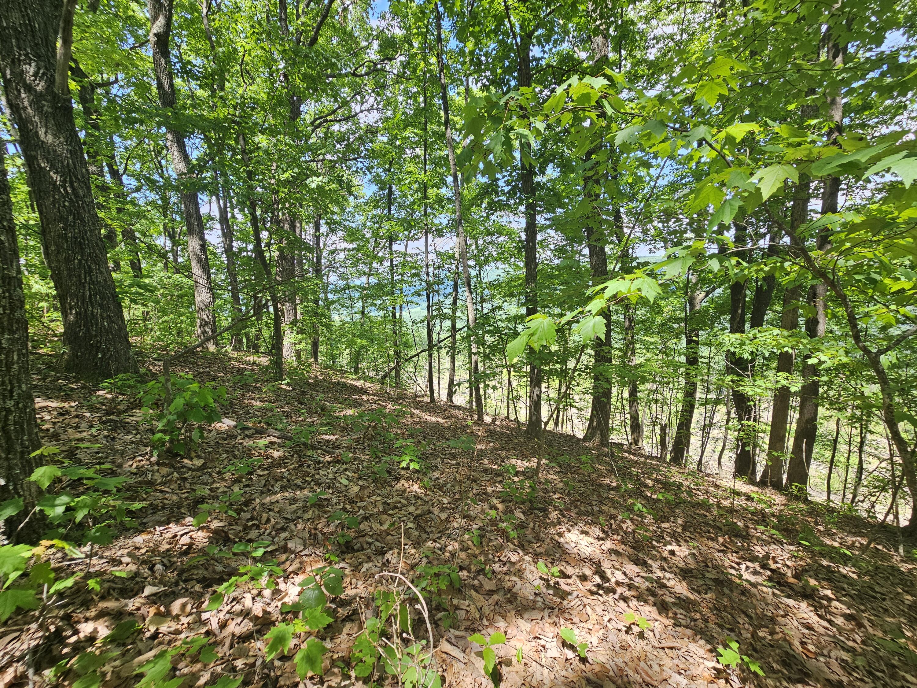 12 Higgenbottom Turnpike, 12