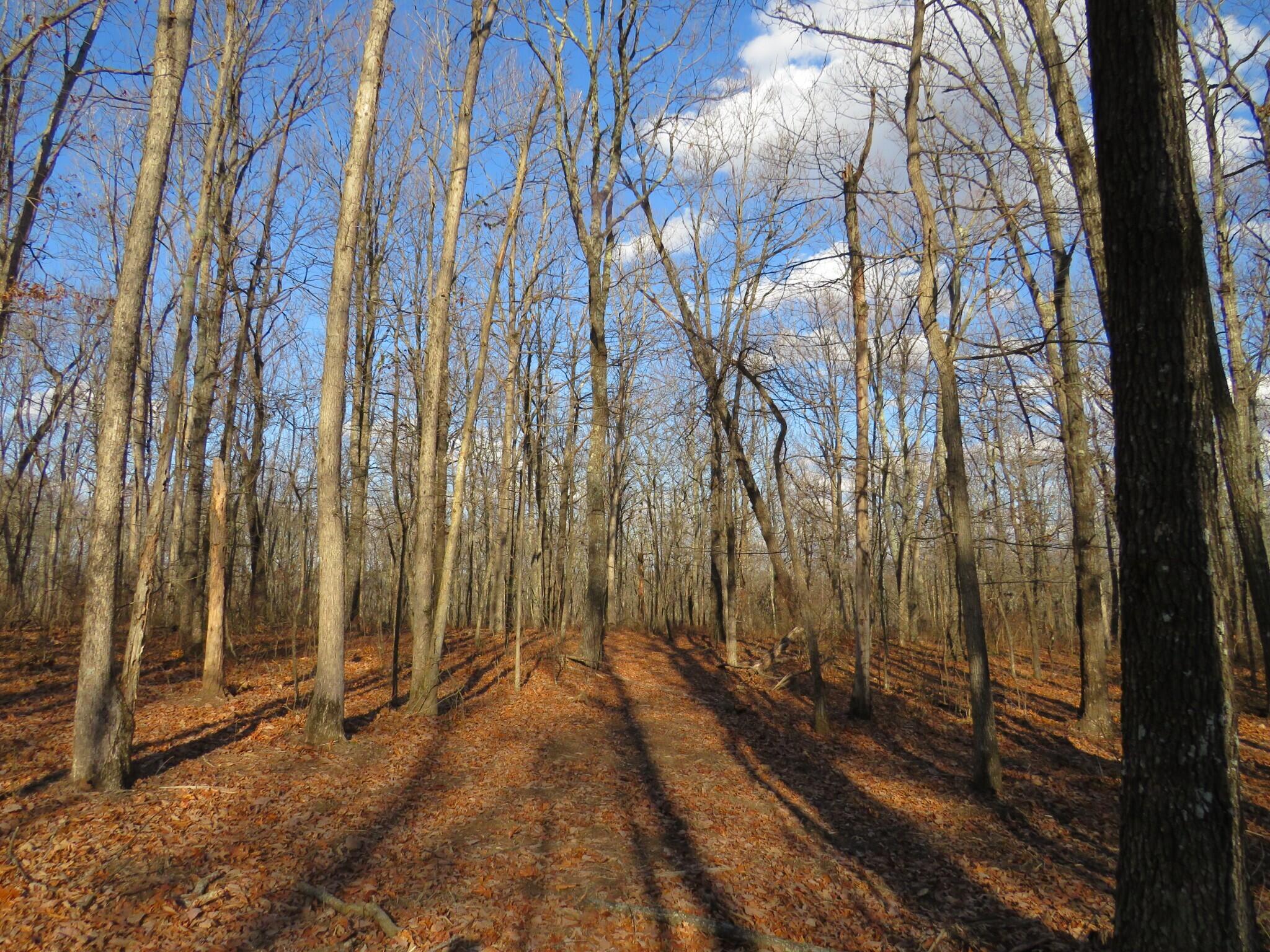 12 Higgenbottom Turnpike, 12