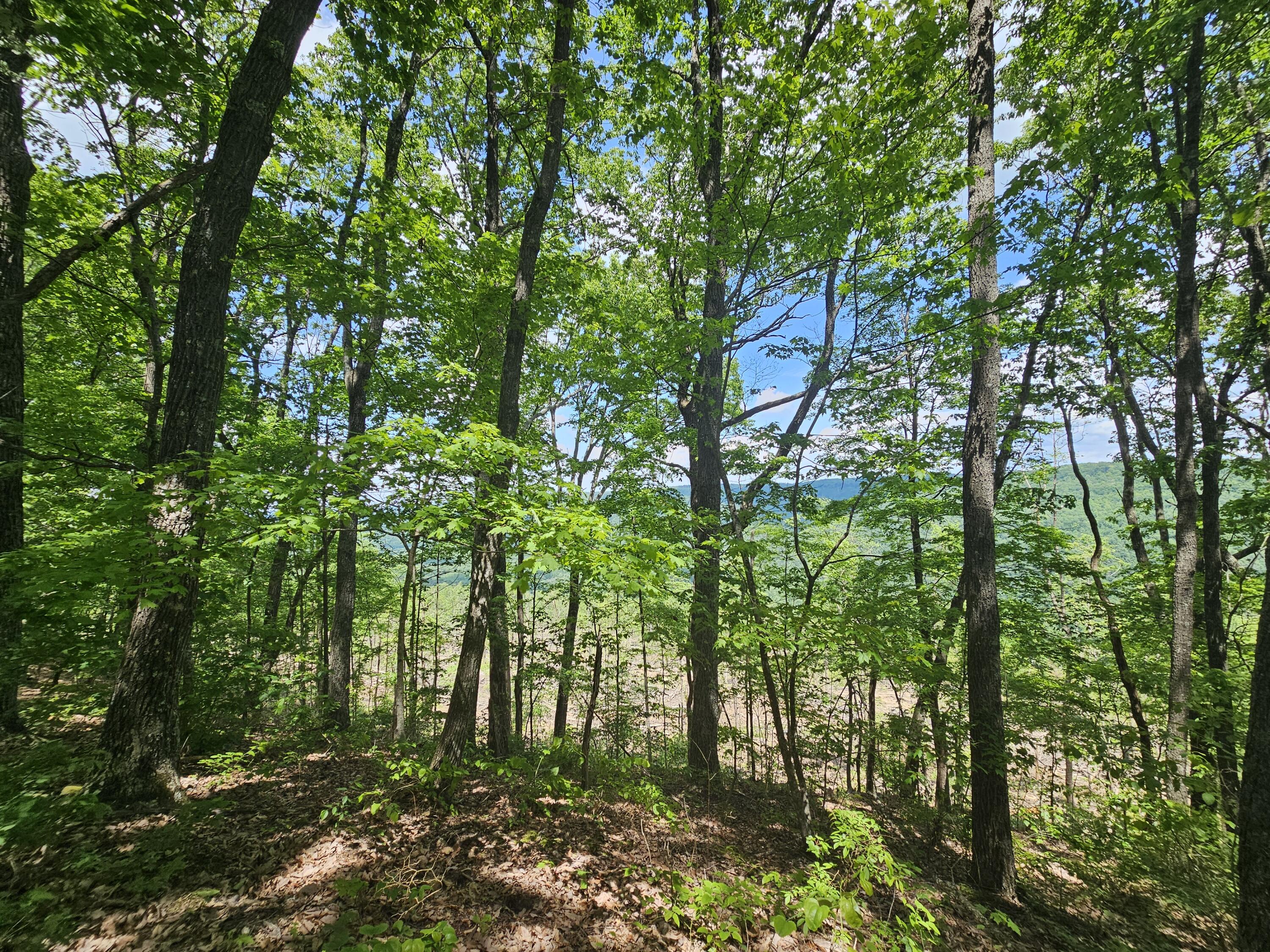 12 Higgenbottom Turnpike, 12