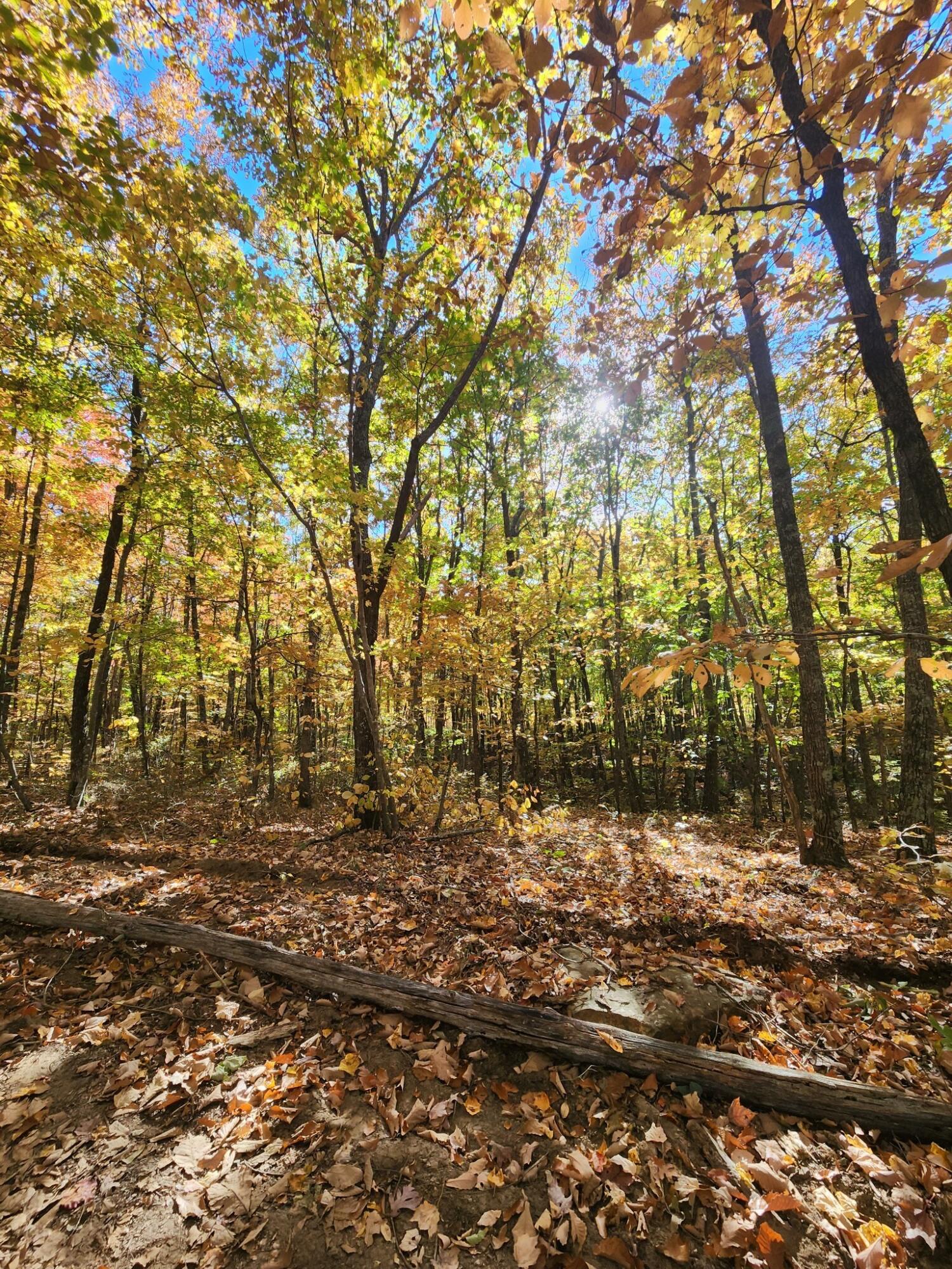 12 Higgenbottom Turnpike, 12